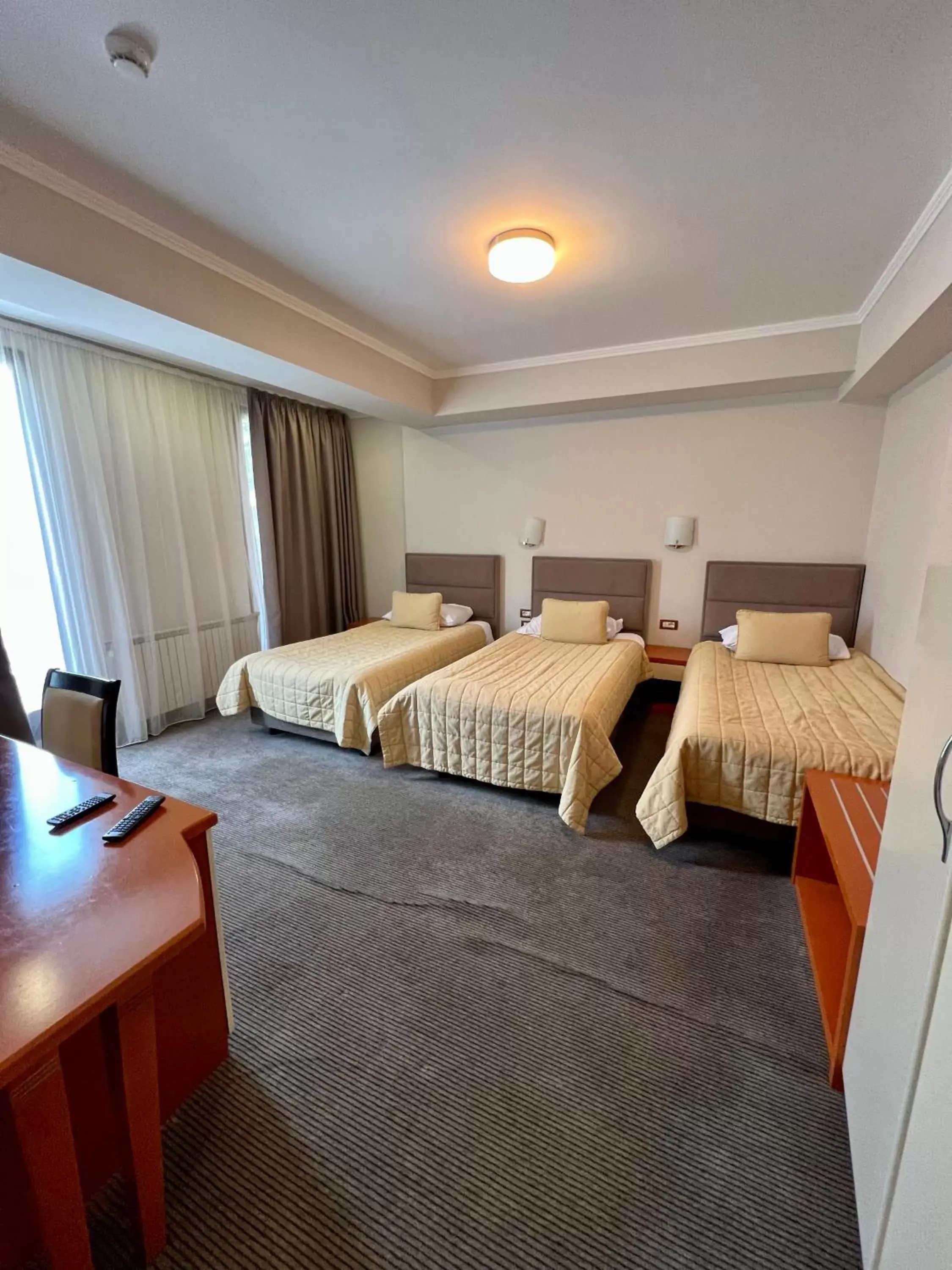 Triple Room in Hotel Millennium Triple Room in Hotel Millennium