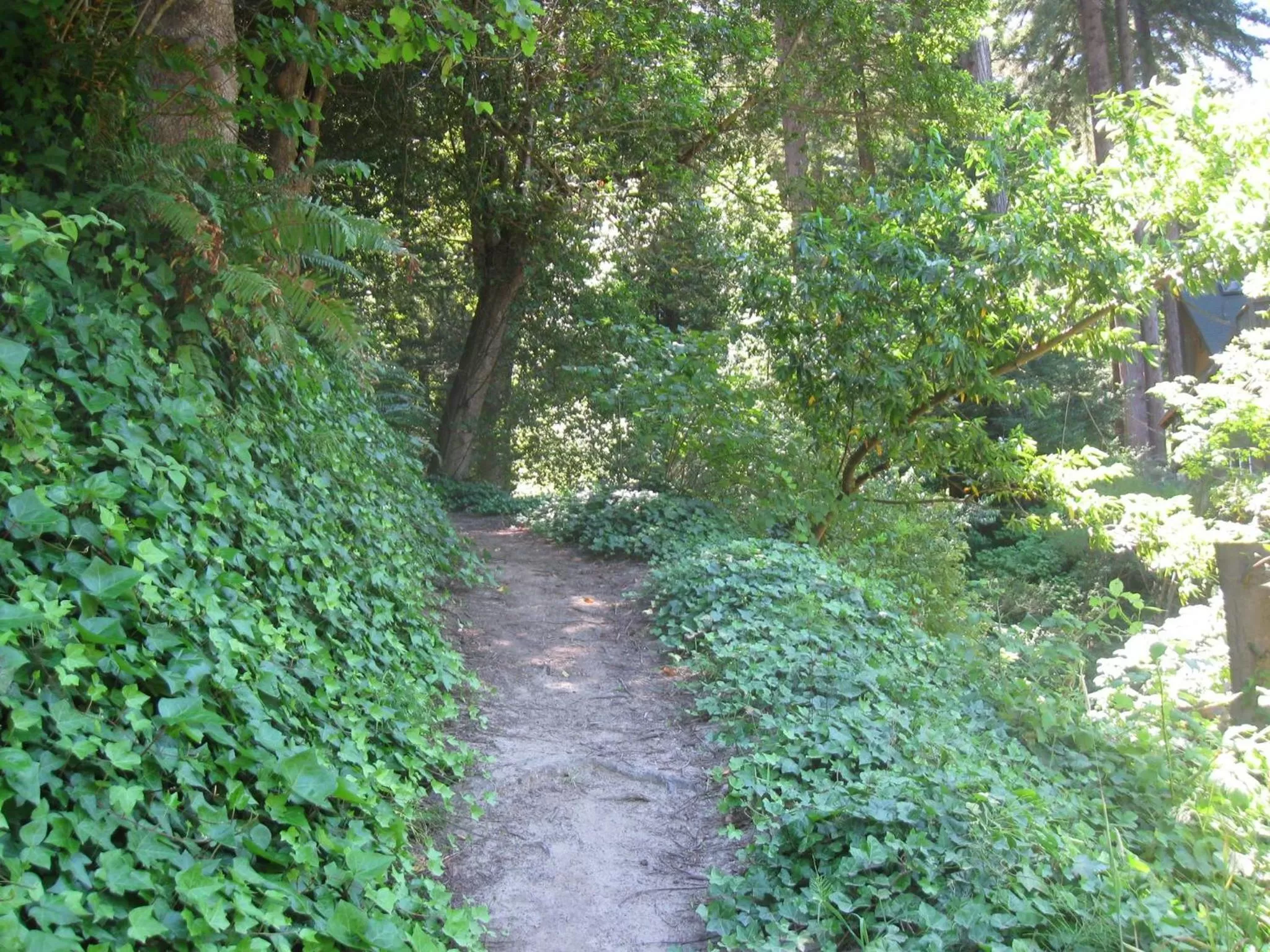 Natural Landscape in Fern River Resort