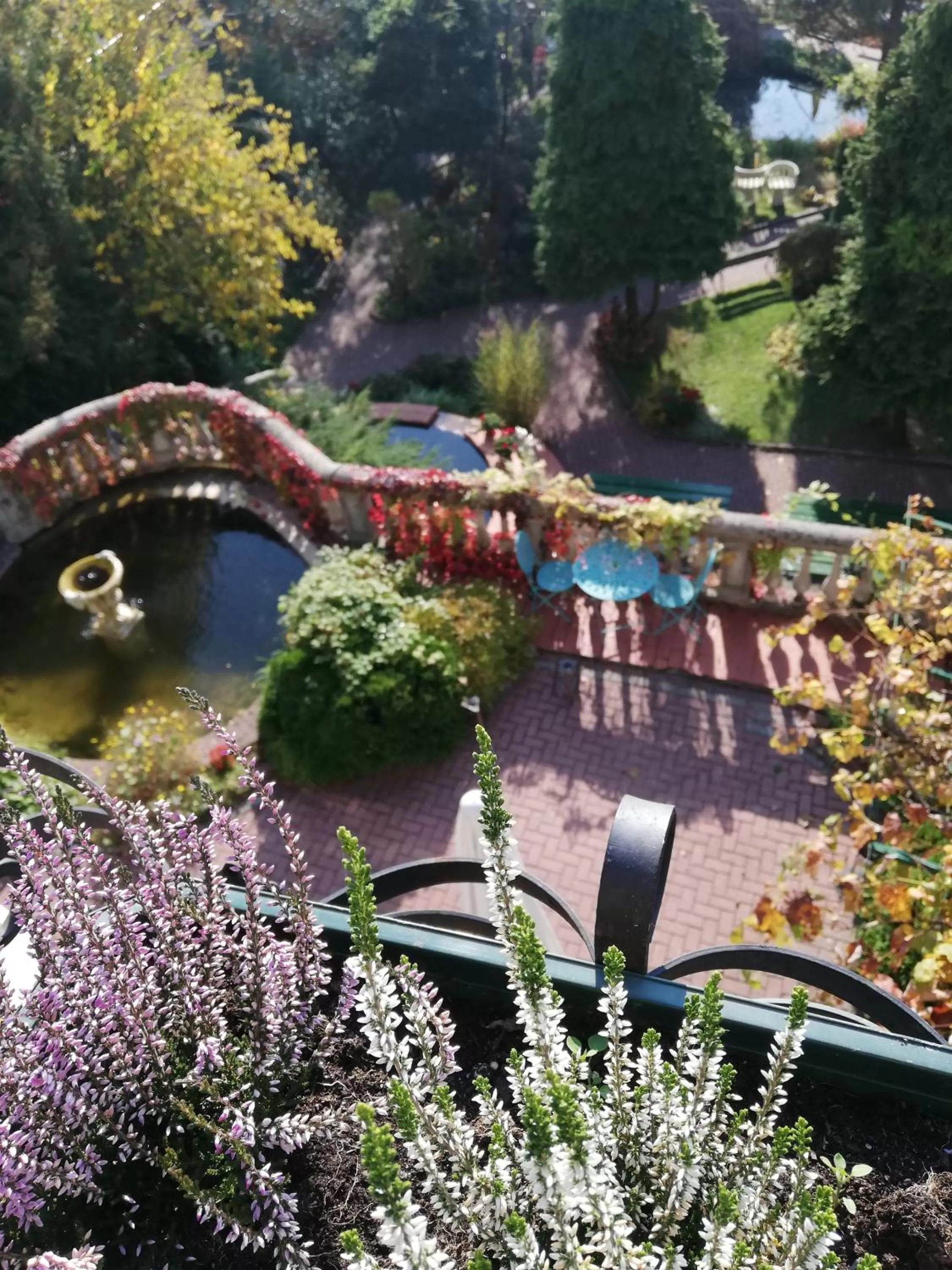 Restaurant/places to eat in Hotel Solar Palace SPA & Wellness