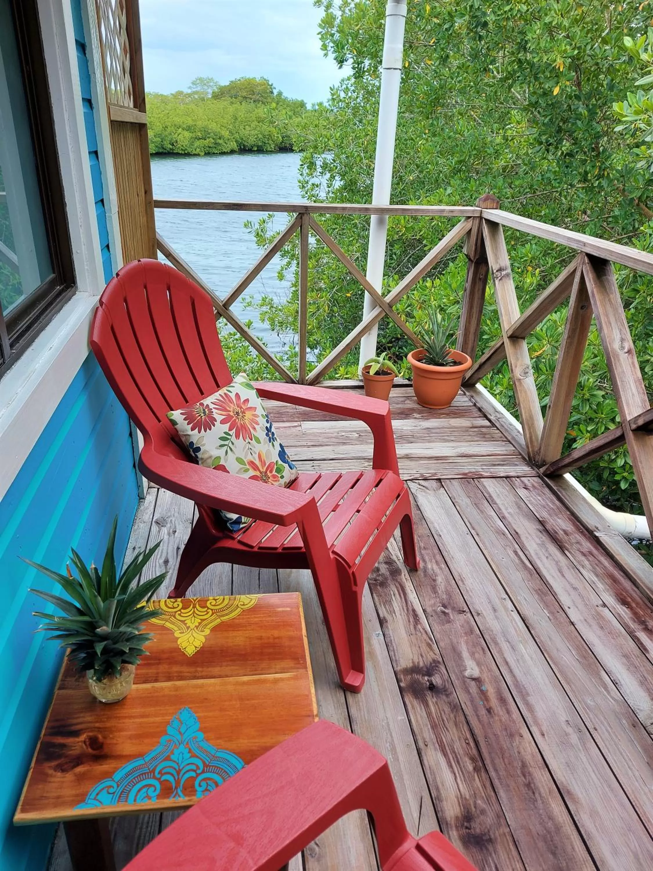 Patio, Balcony/Terrace in The Sunsetter Bed & Breakfast