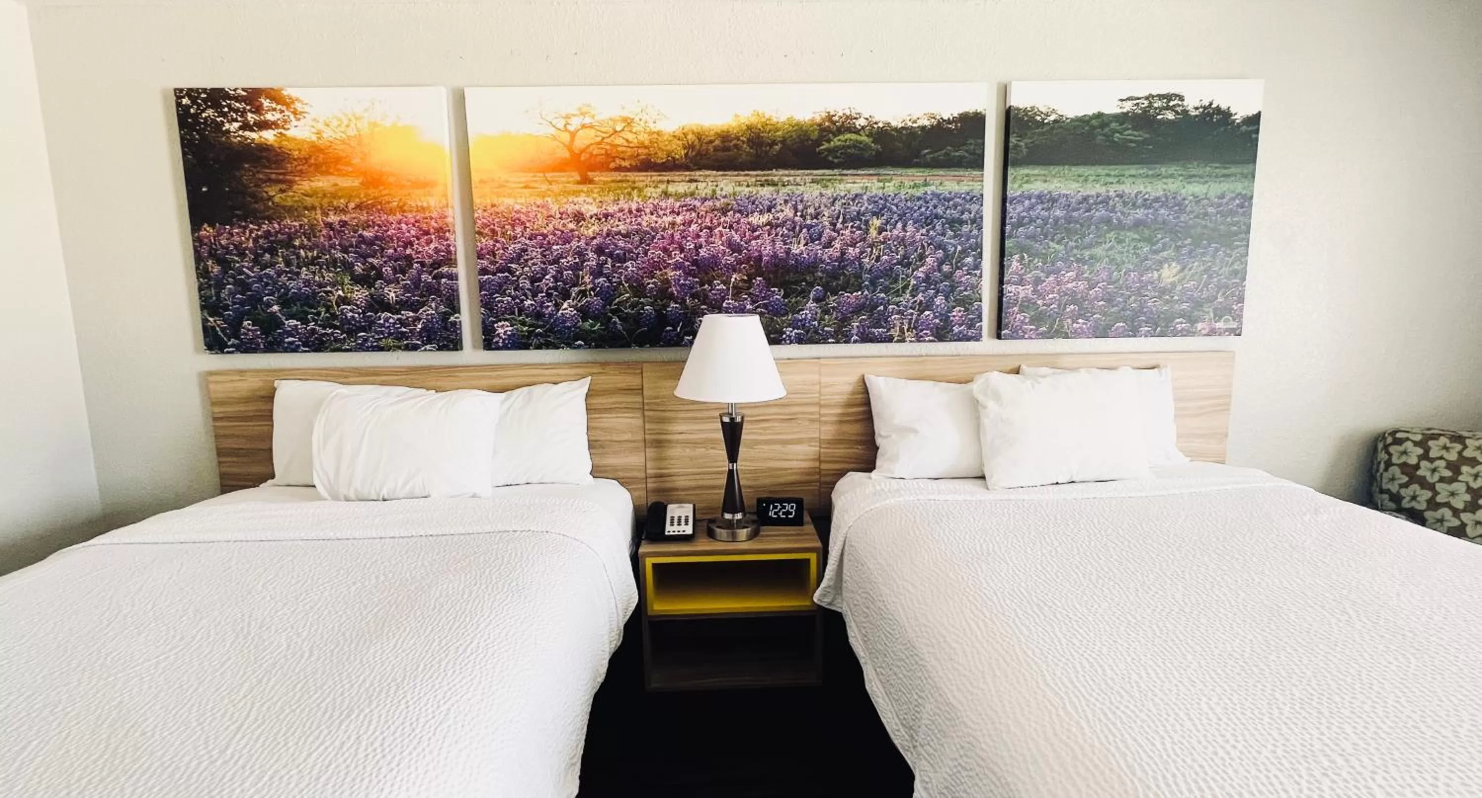 Photo of the whole room, Bed in Days Inn & Suites by Wyndham - Canton First Monday Trade Days