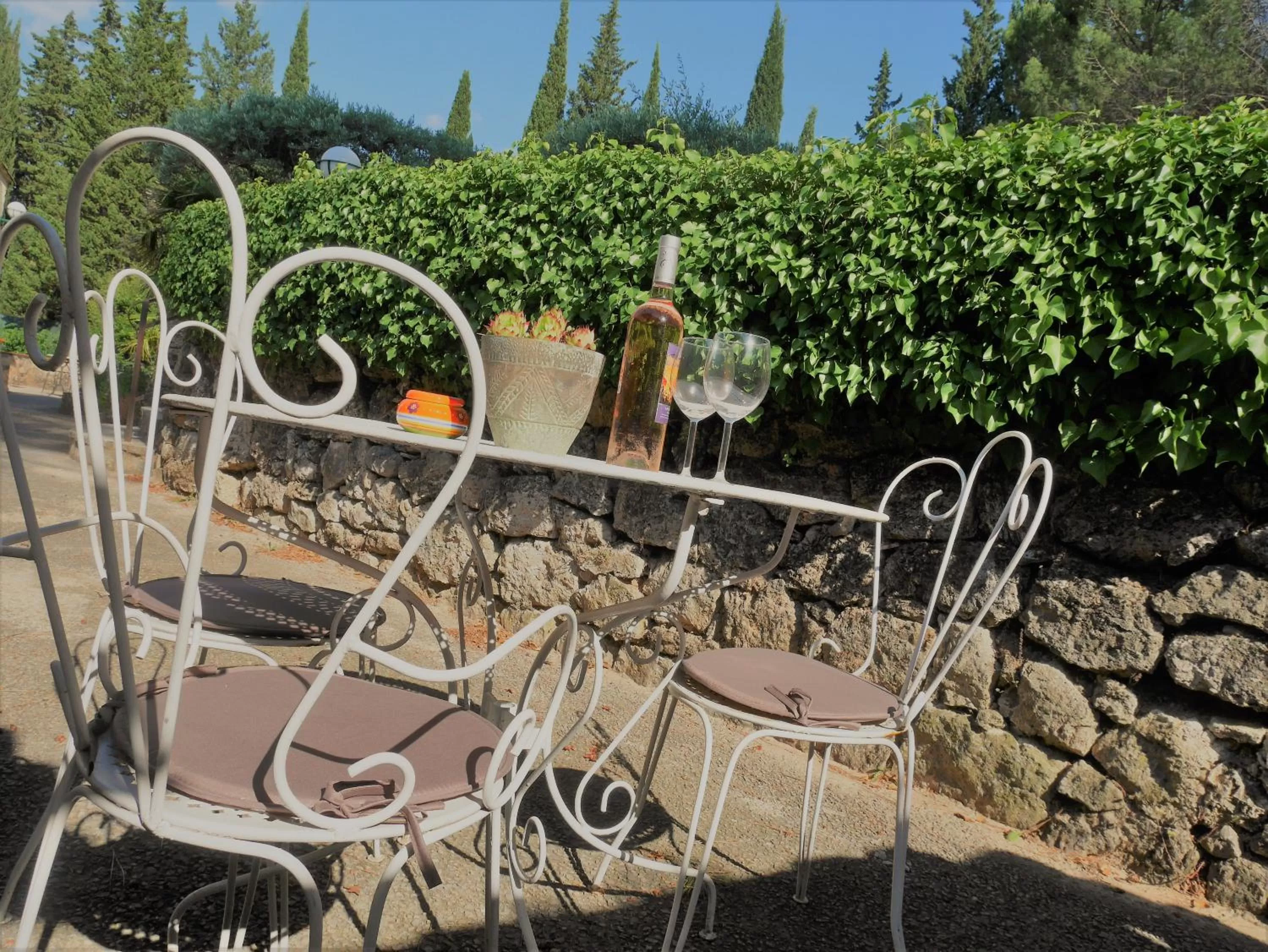 Patio in Le Mas des Oliviers