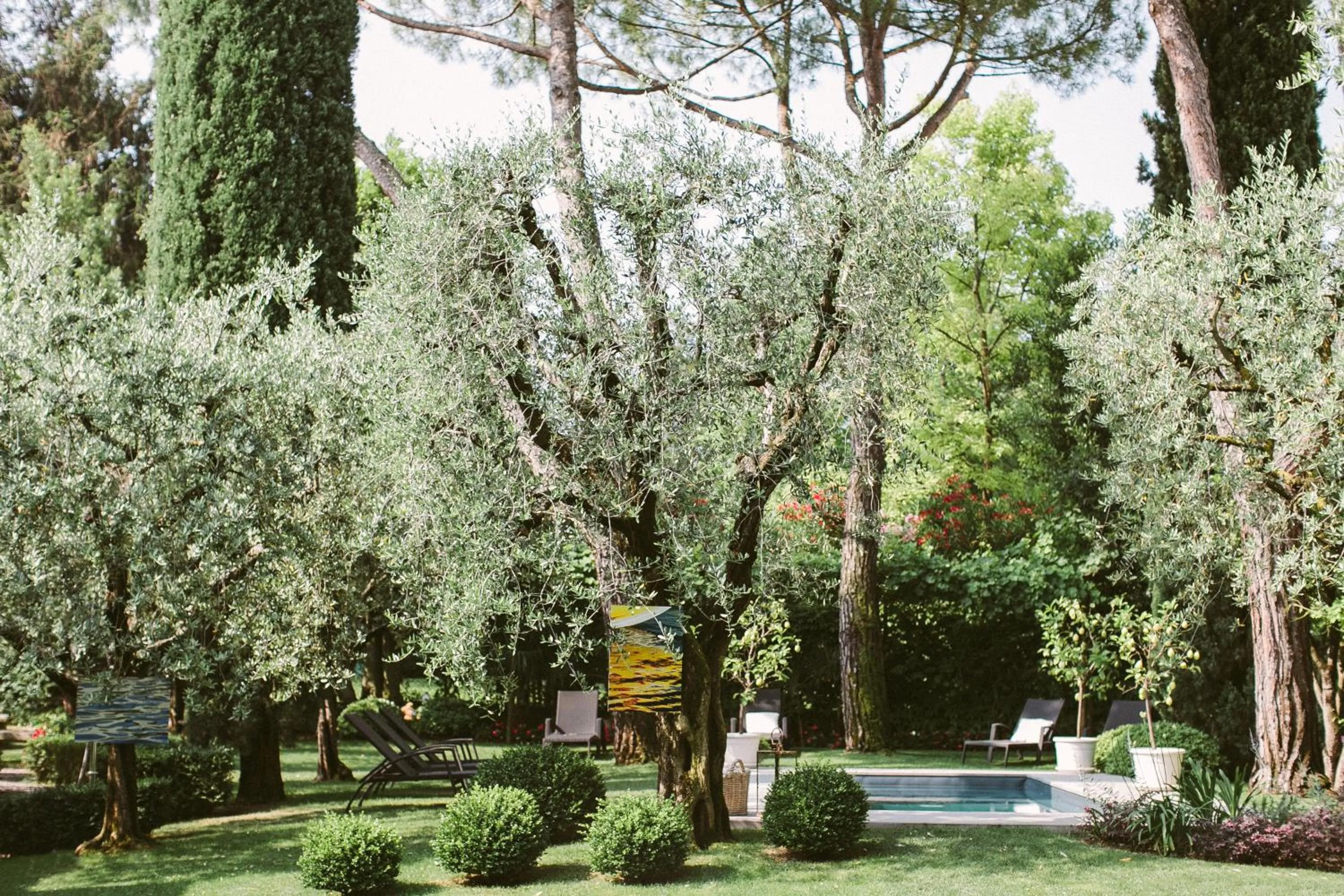 Garden in Hotel Piccola Vela