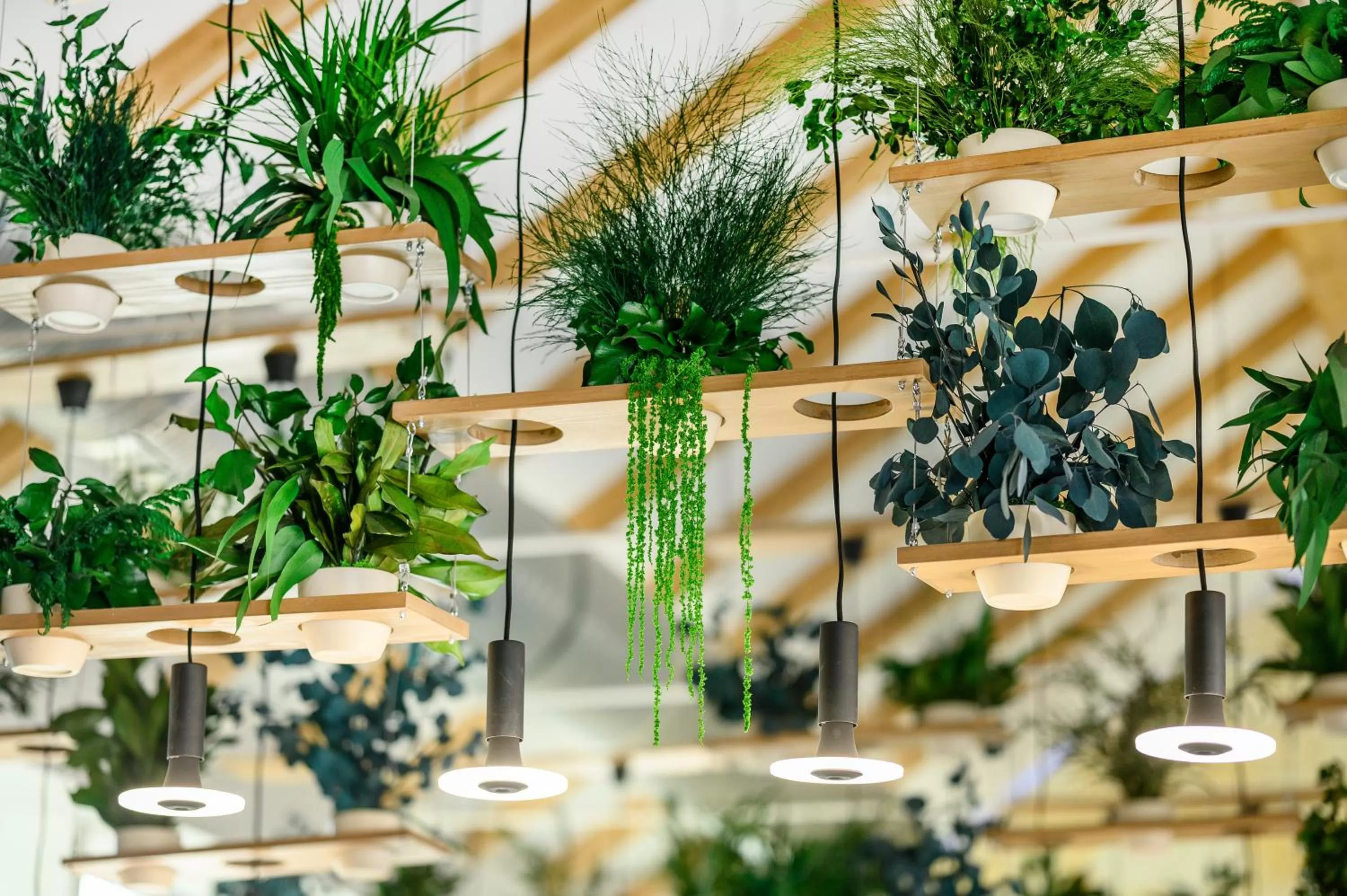 Decorative detail in Mercure Tokaj Center