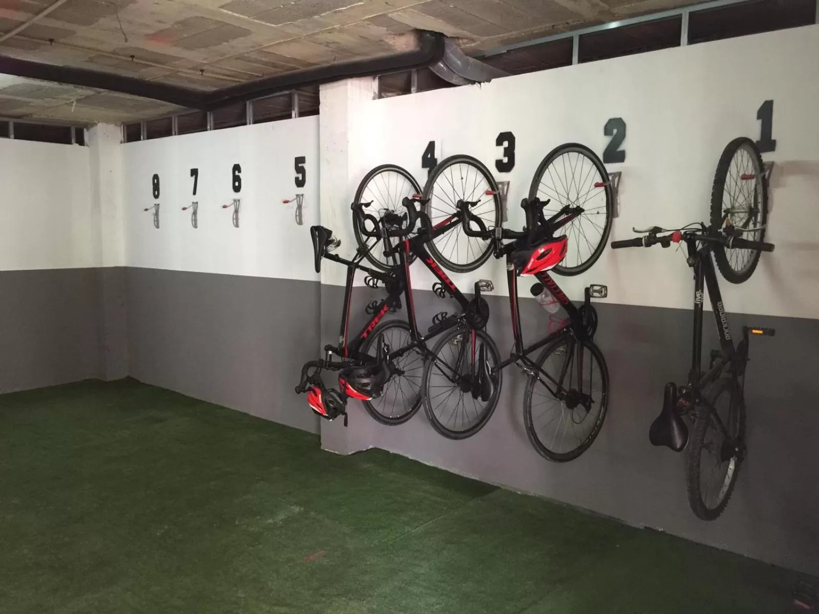 Activities in Hotel Torá