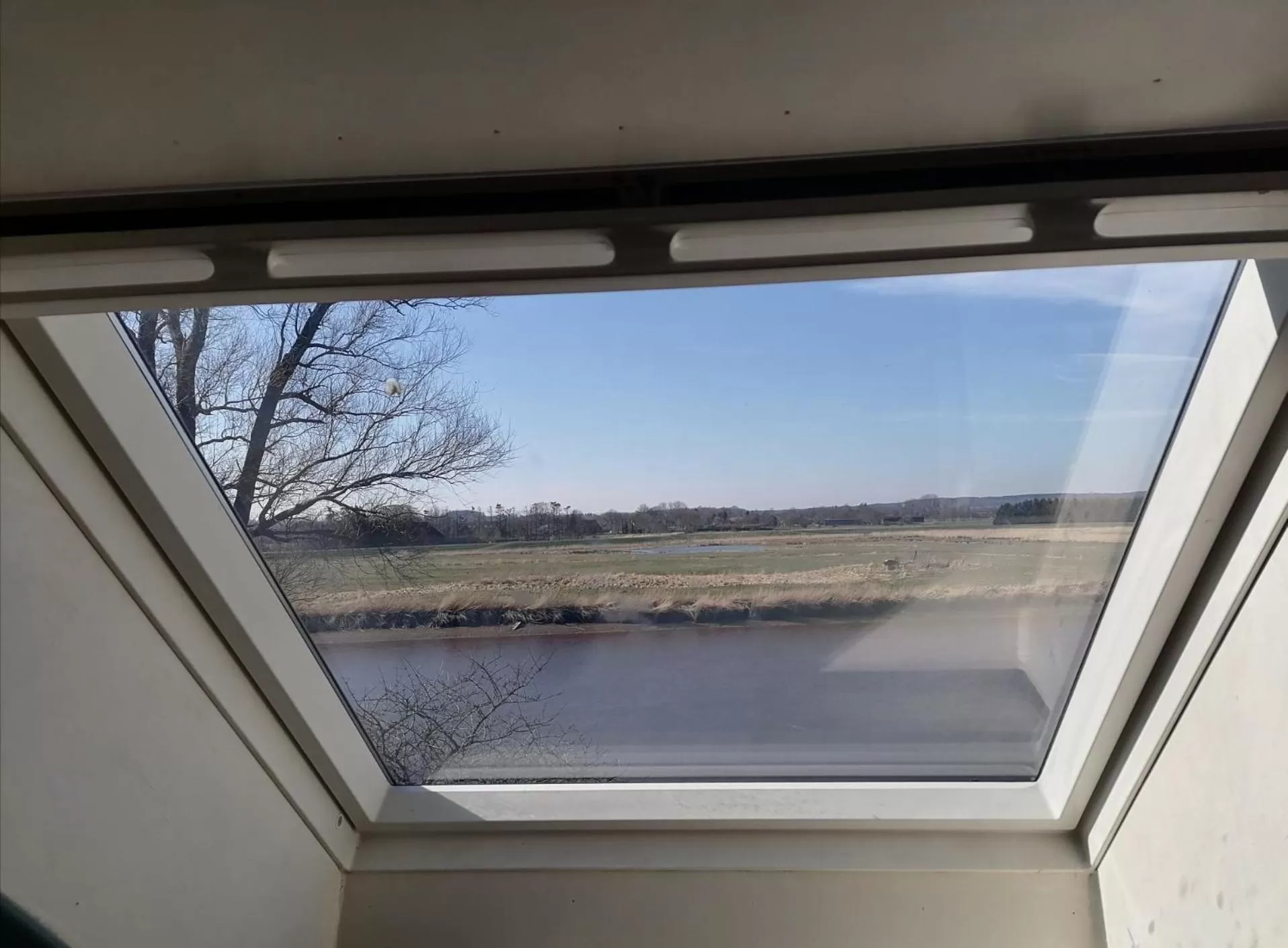 River view in Seefahrer Musik- & Kreativhotel