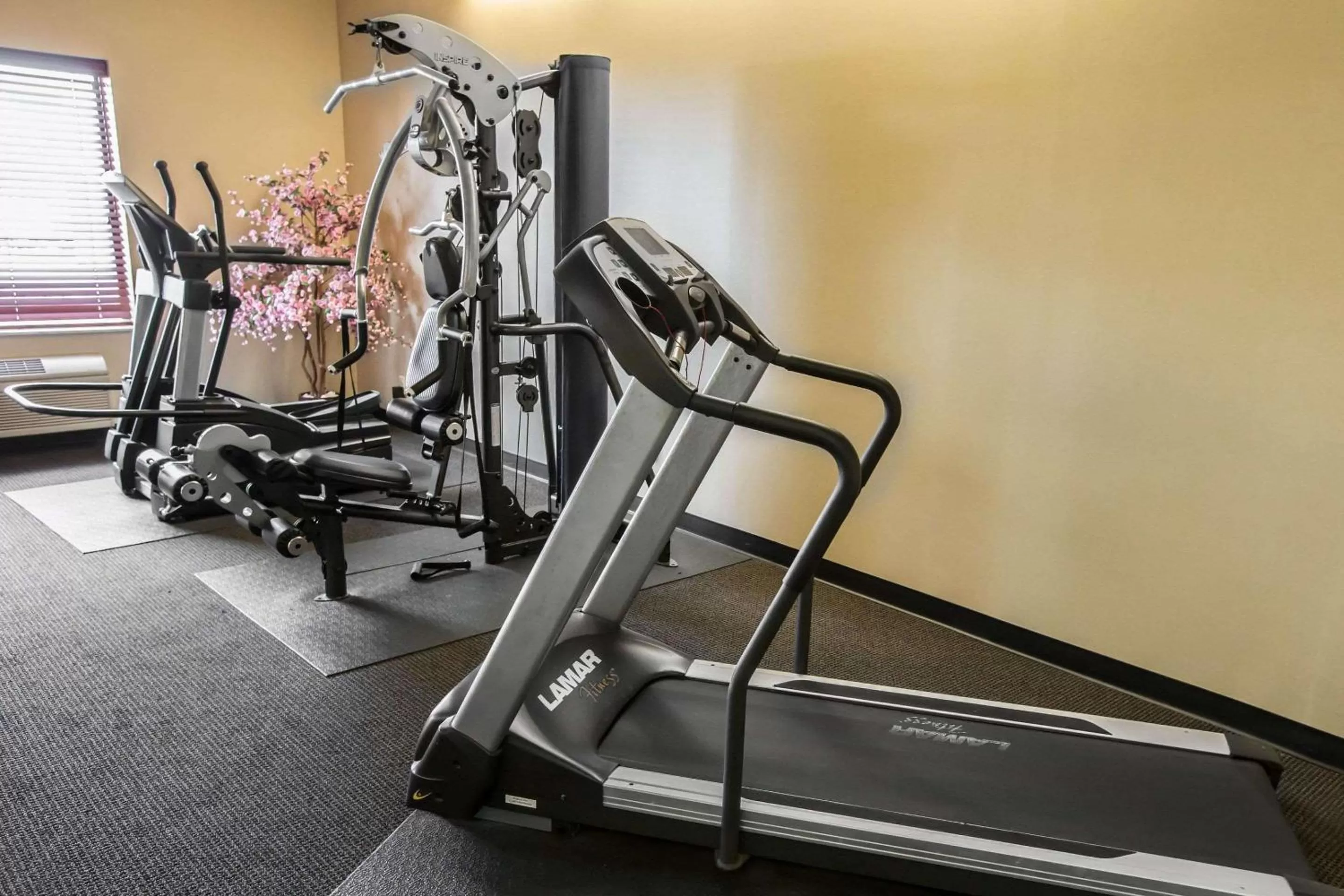 Fitness centre/facilities in Comfort Inn Crystal Lake - Algonquin