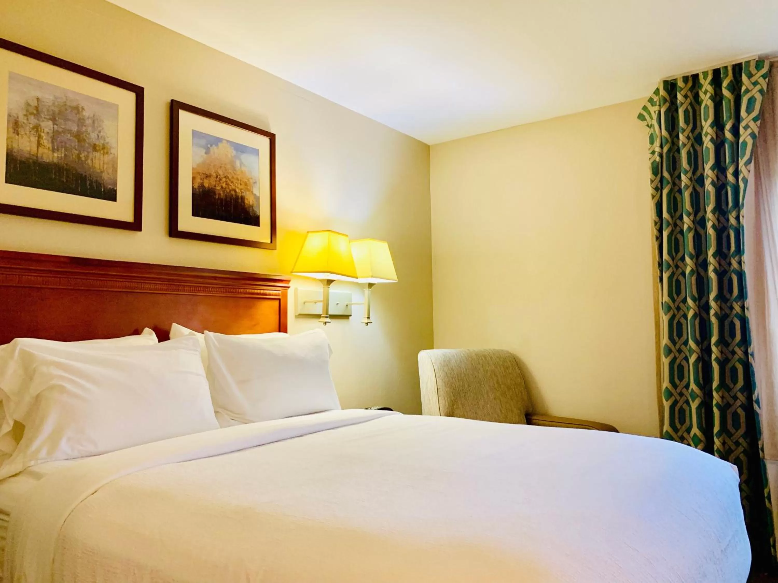 Studio Suite in Candlewood Suites Hot Springs by IHG