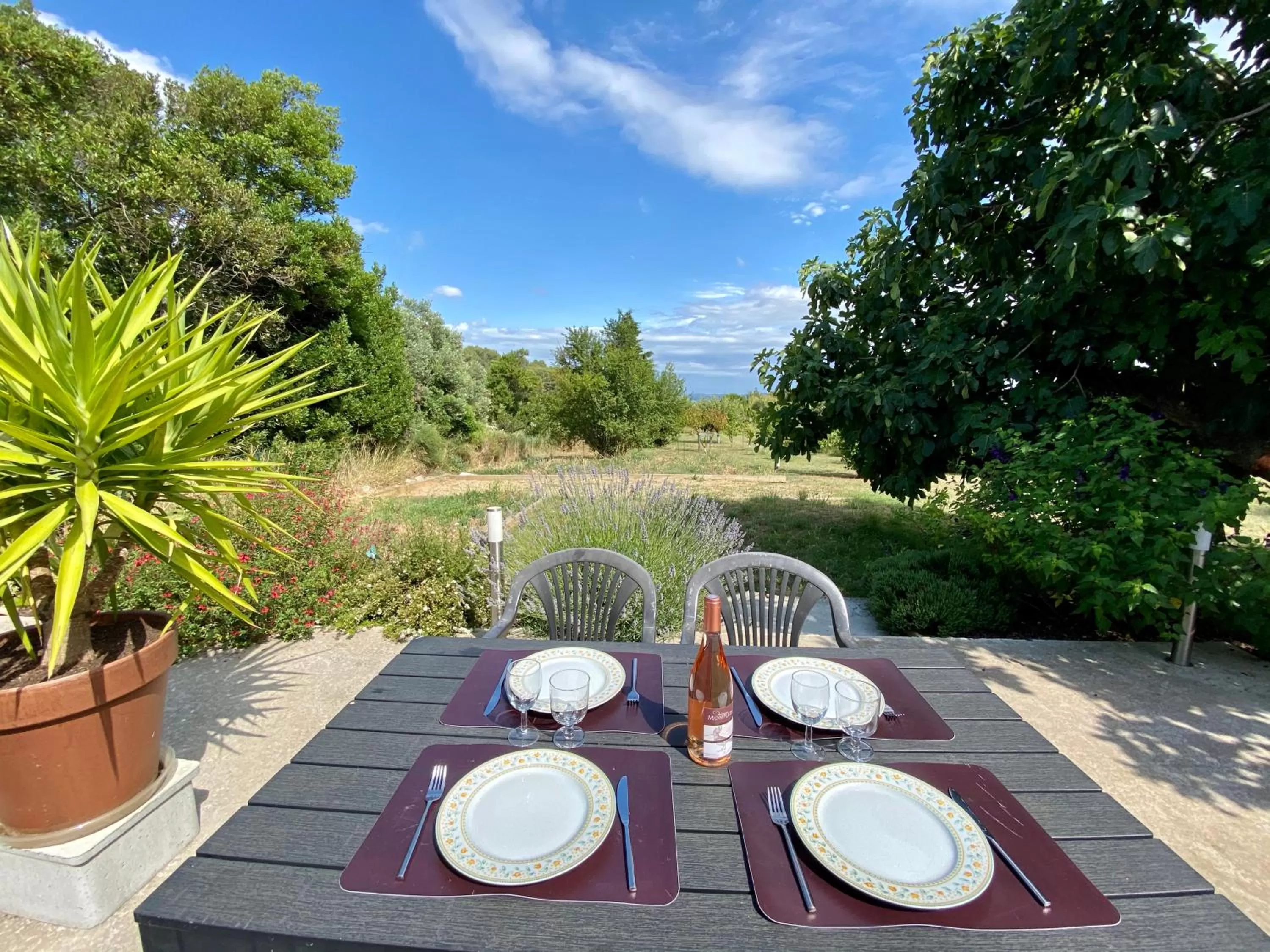 Patio in Mas des Tournevents