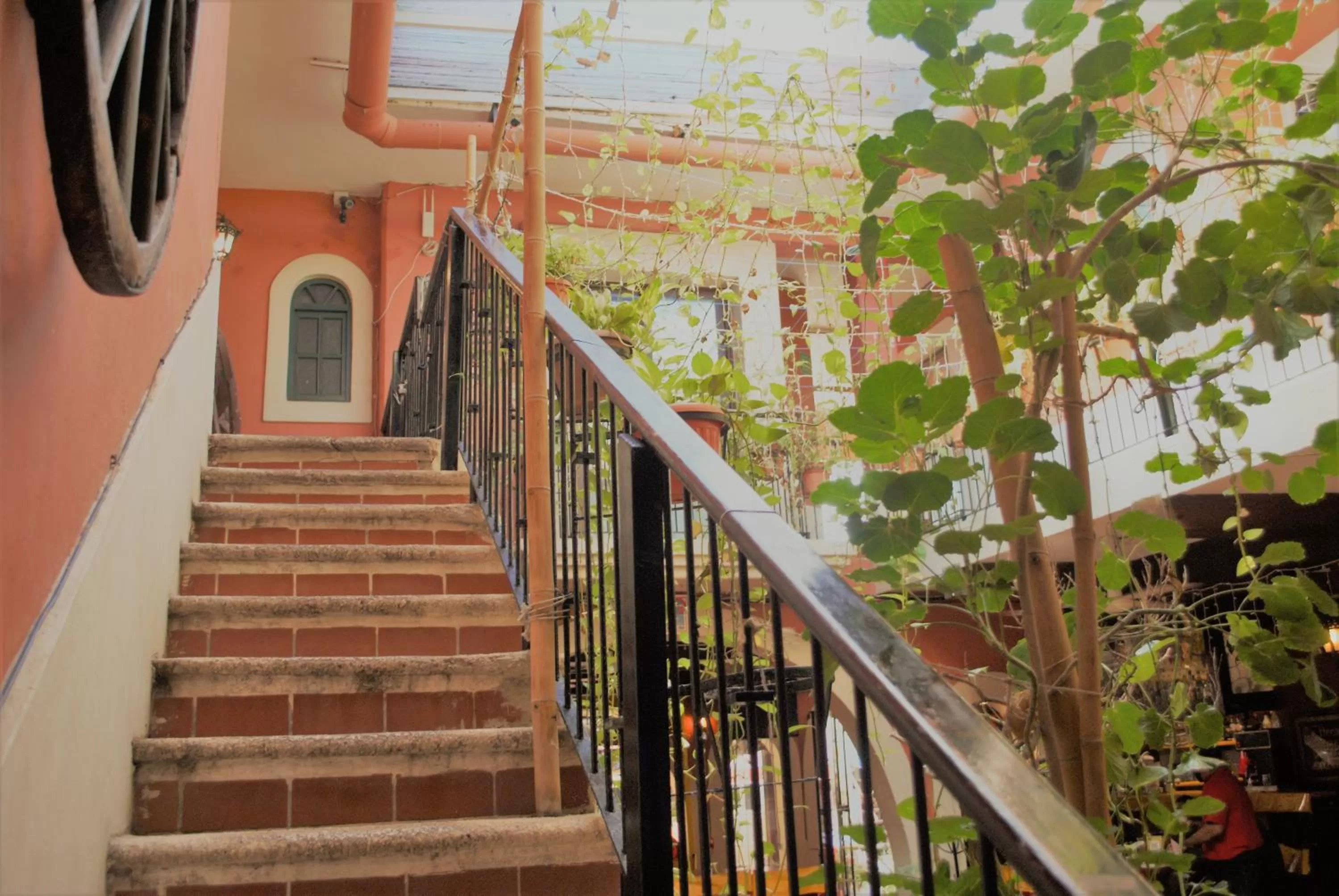 Balcony/Terrace in Hotel Belmar