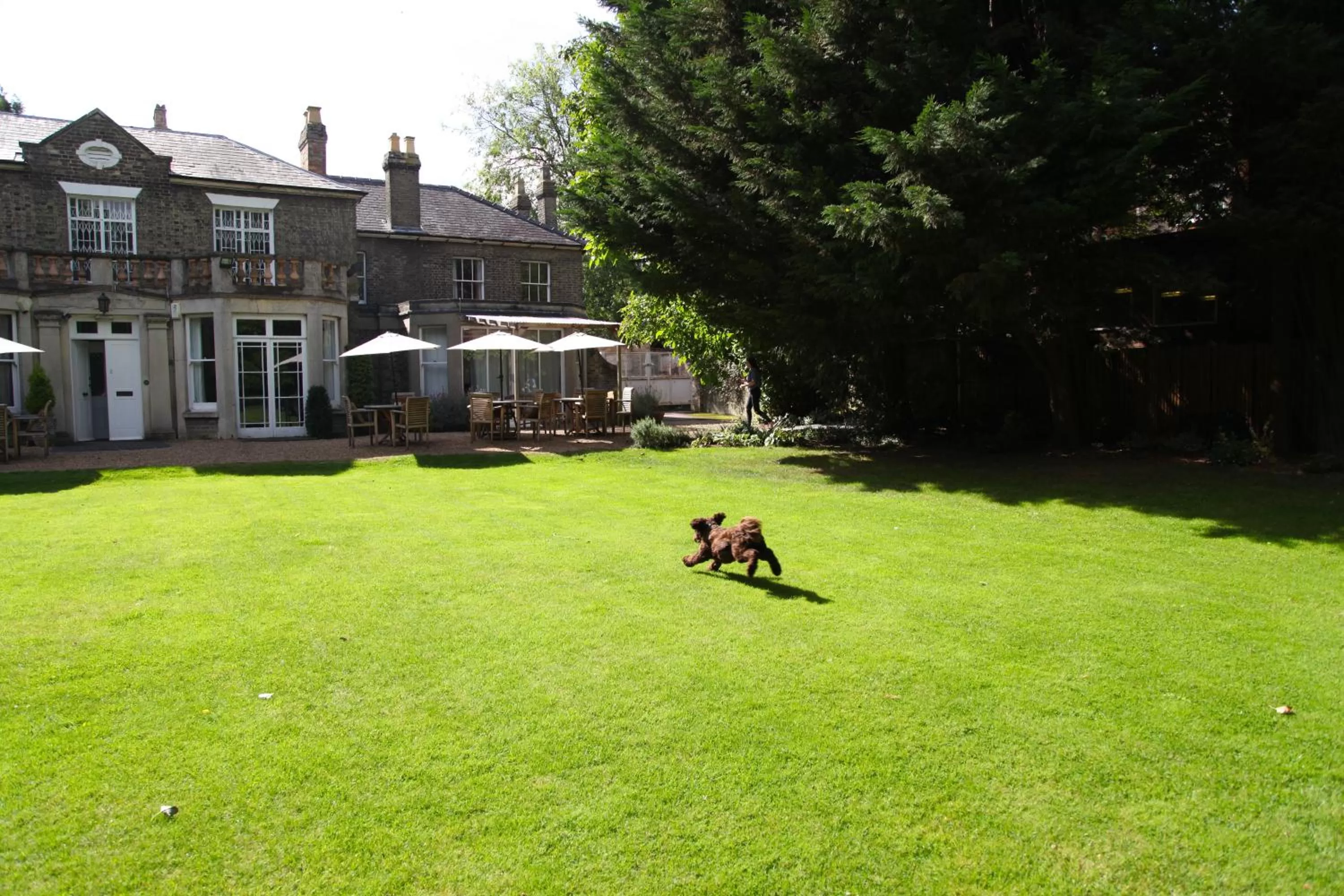 Garden in Gonville Hotel