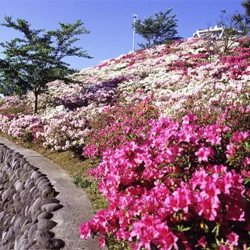 Other in Smile Hotel Shimonoseki