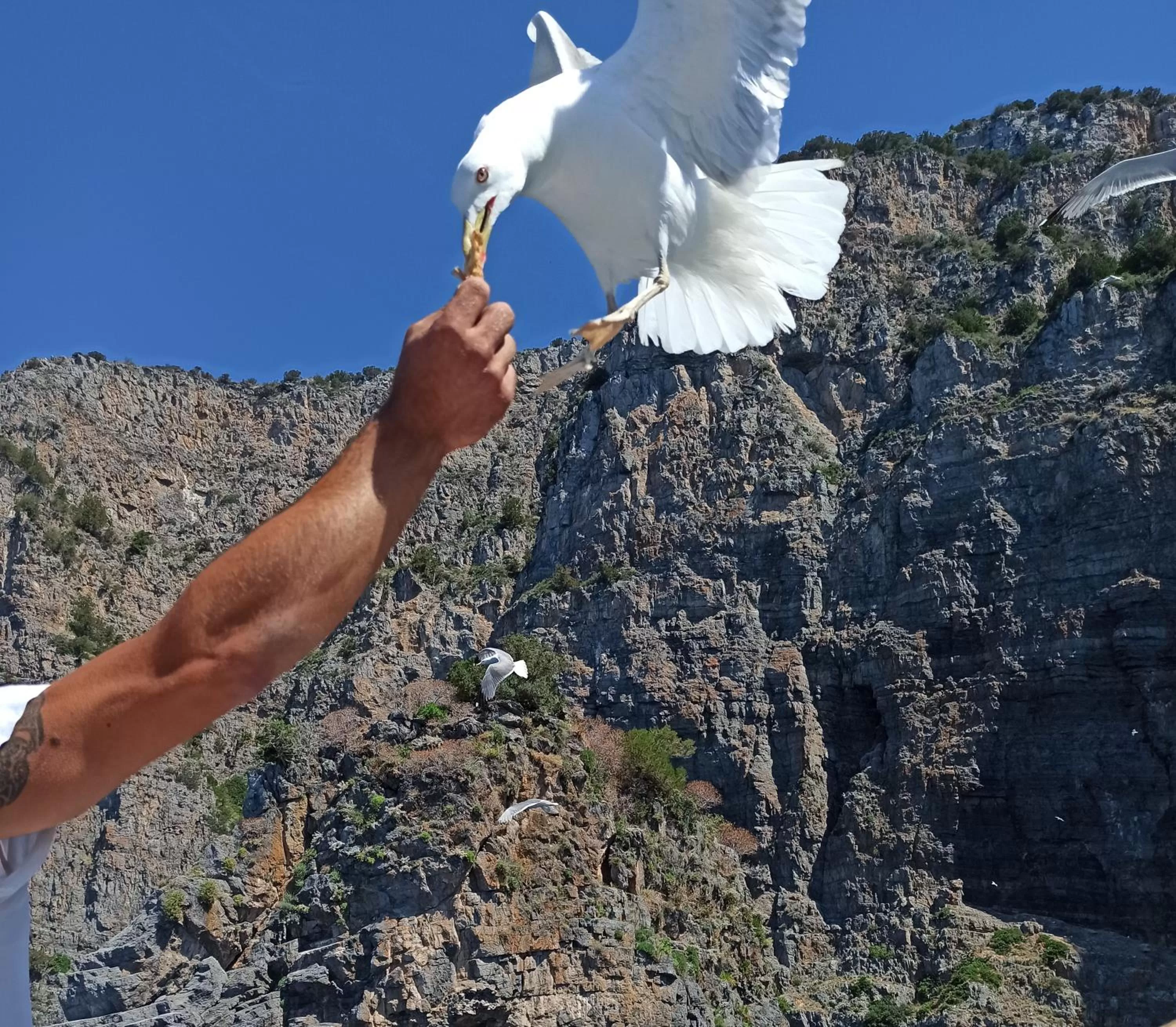 Natural landscape in B&b Anna's home