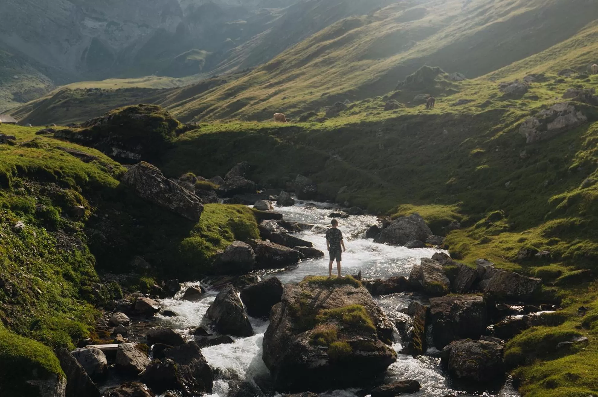 Summer in The Cambrian