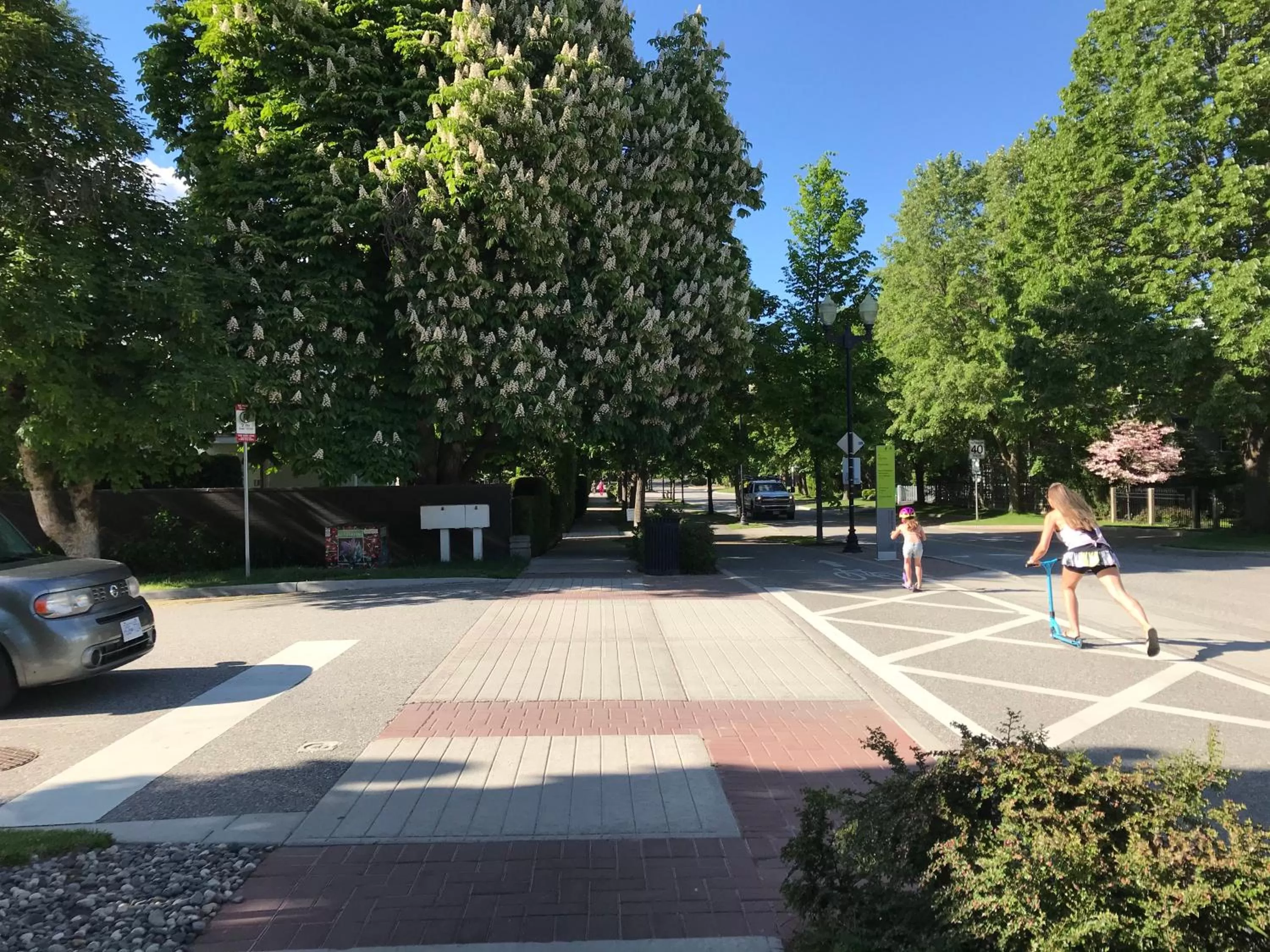 Neighbourhood in Stirling House