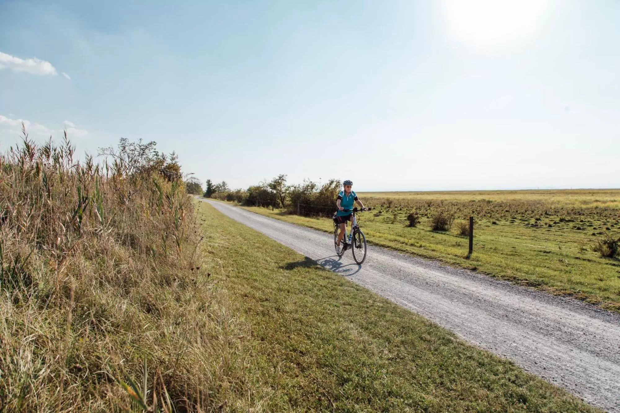 Cycling in Luis von Weyden