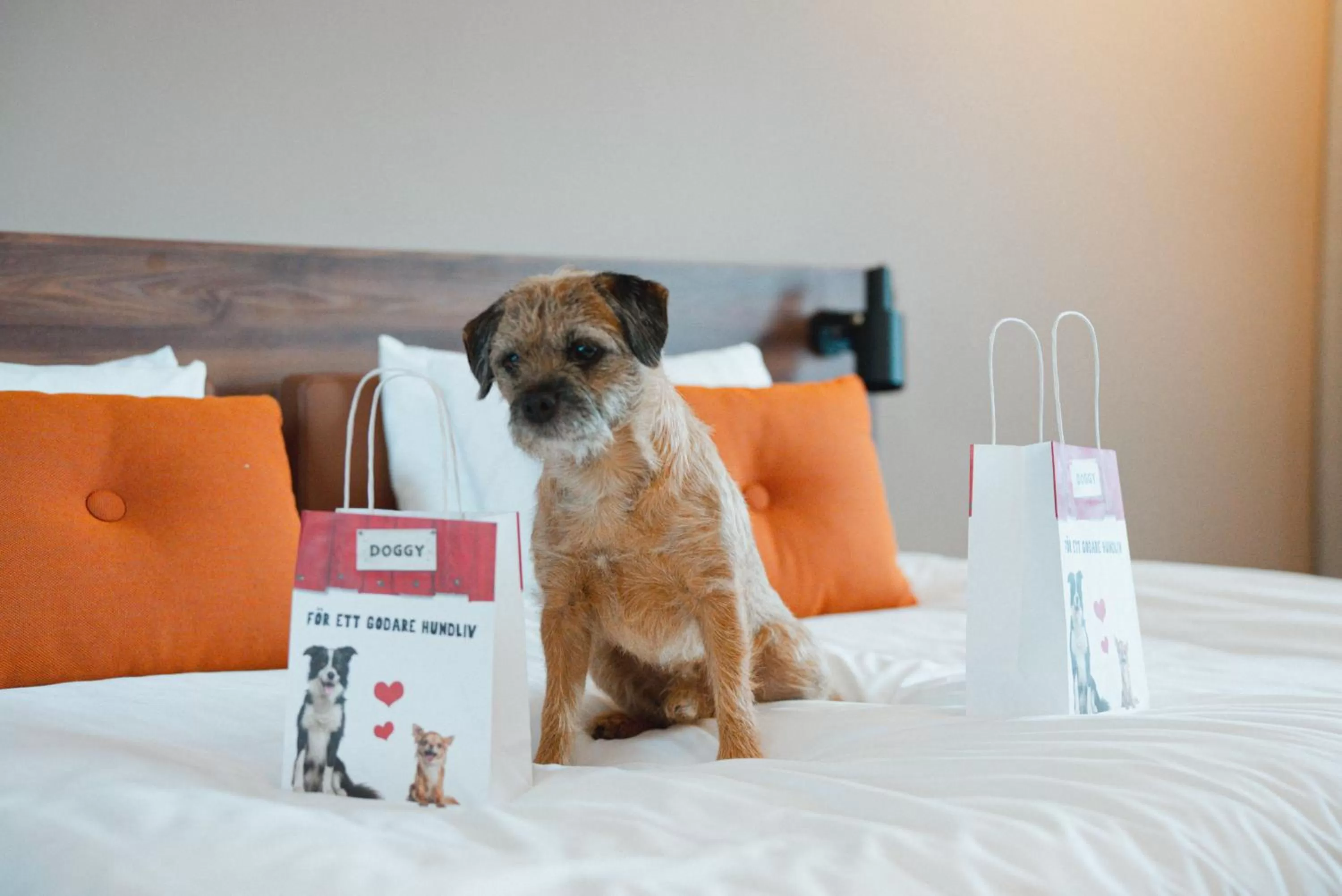 Animals, Bed in Clarion Hotel Winn