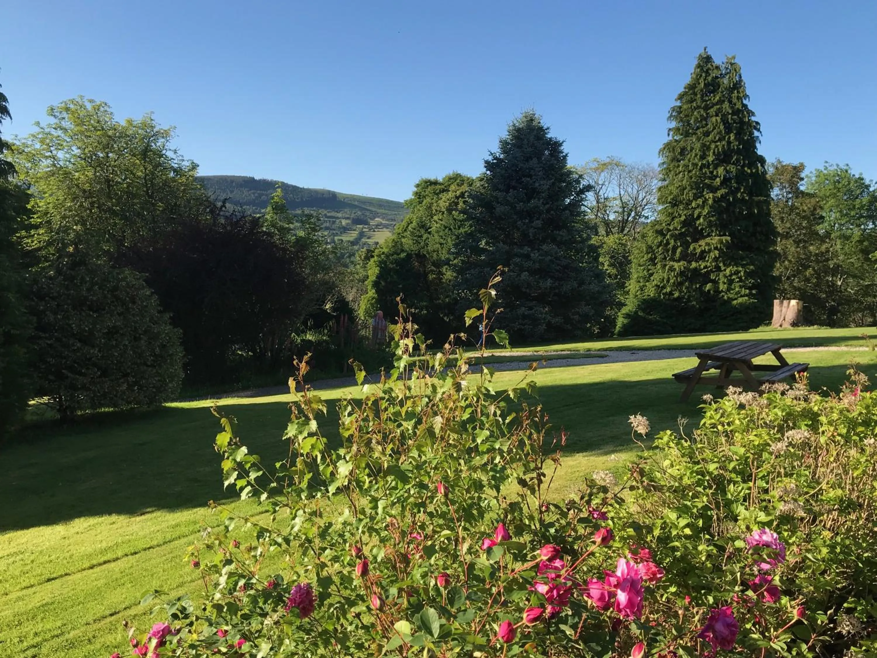 Garden in Ben Wyvis Hotel