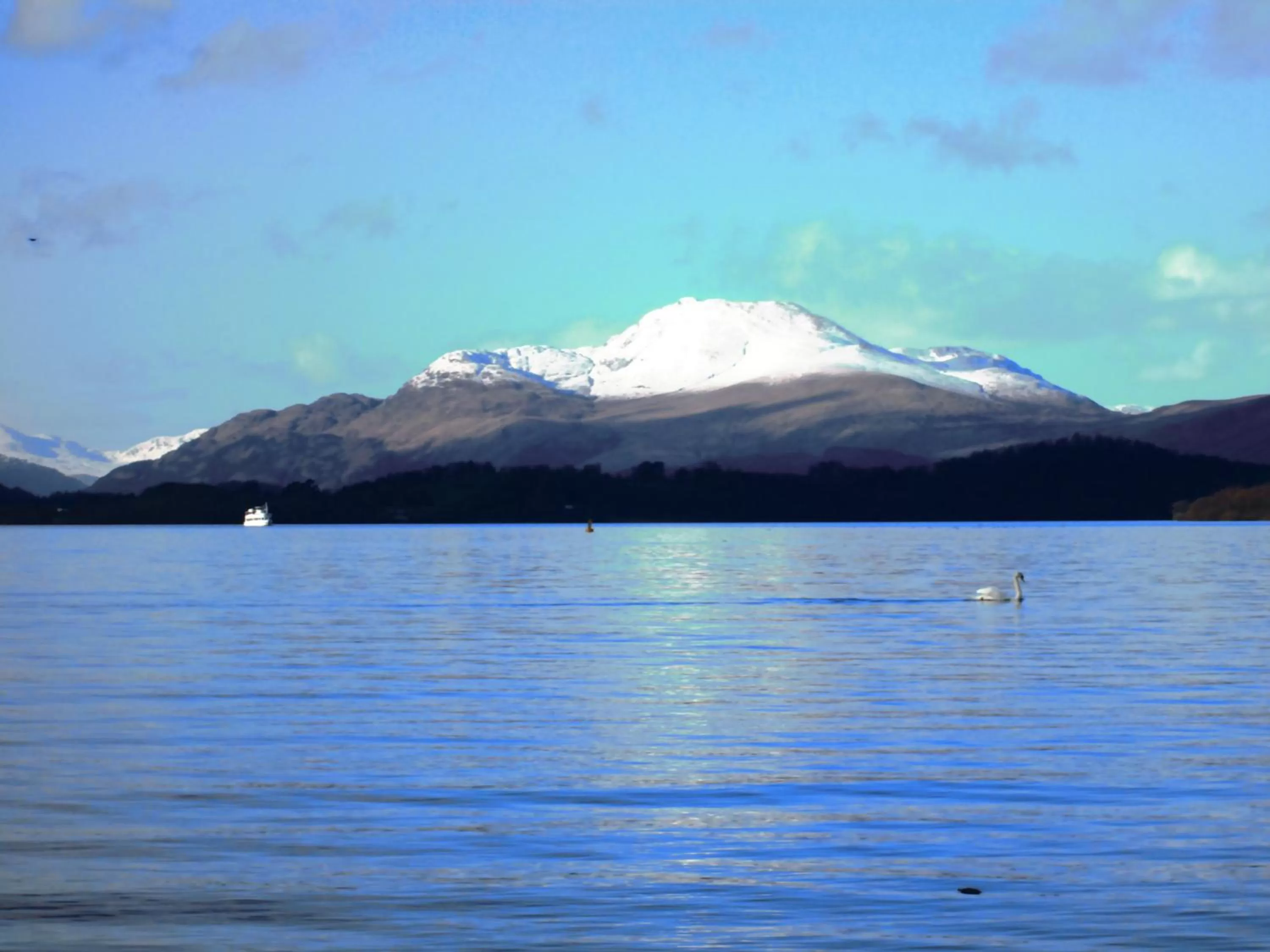 Day in Glenfern Guest House and a separate Cottage with its own private hot tub