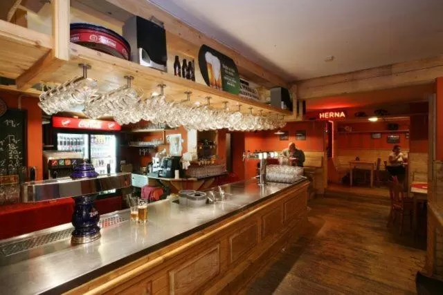 Lounge or bar in Hotel Saloon