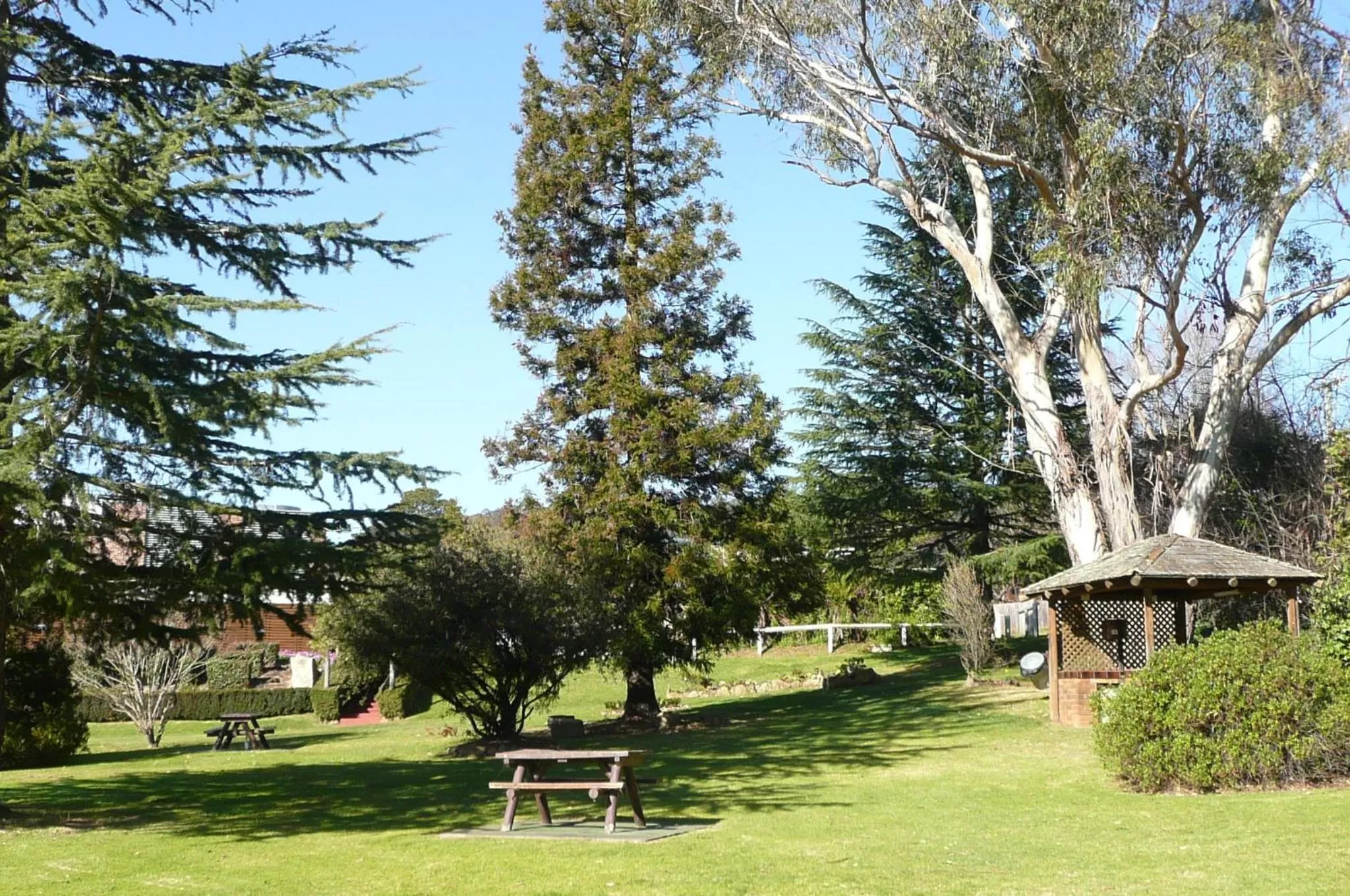 Garden in Springs Mittagong