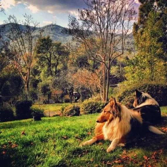 Garden in The Inn on Knowles Hill Bed & Breakfast Hotel