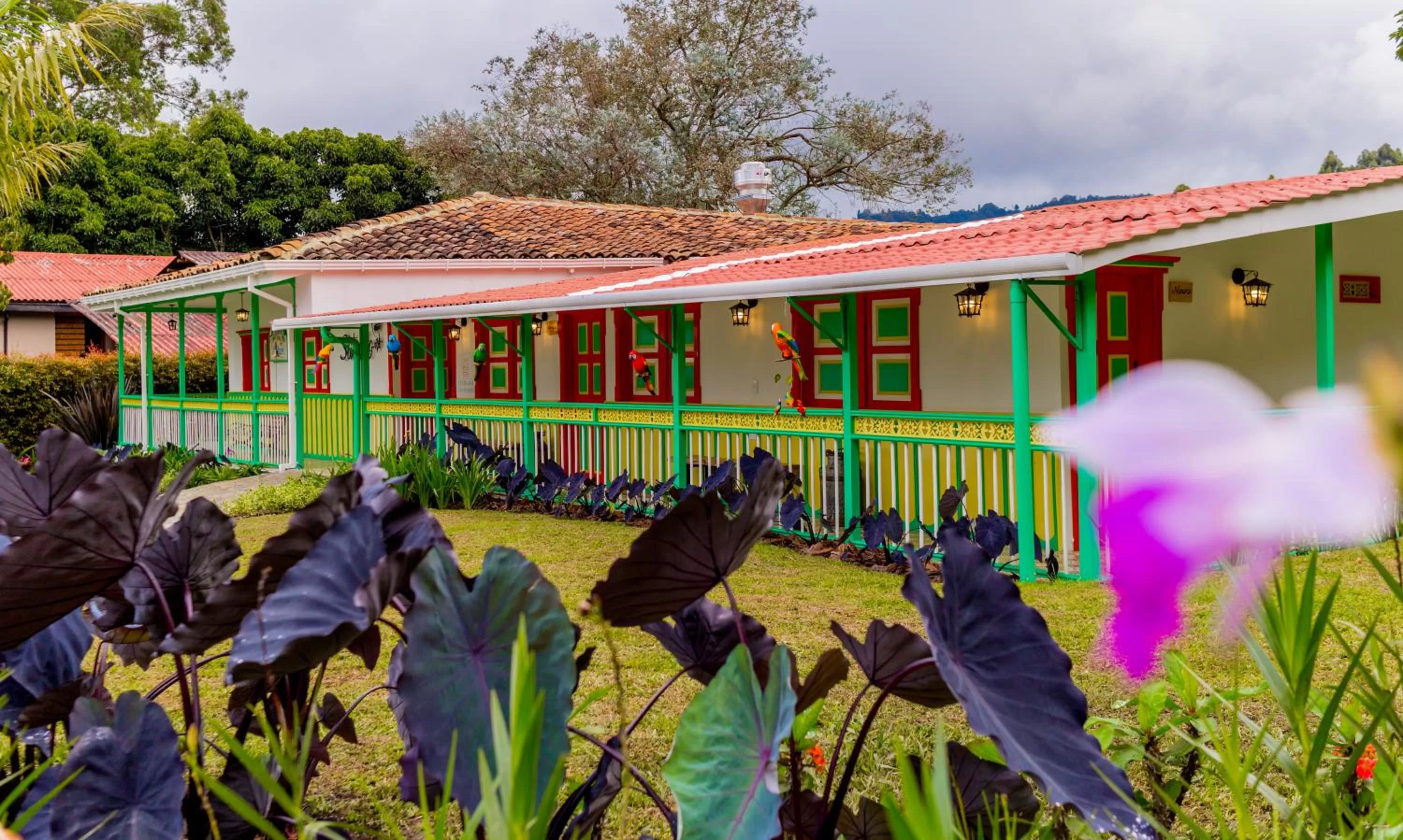 Garden in Hotel Mirador de Boquia Salento