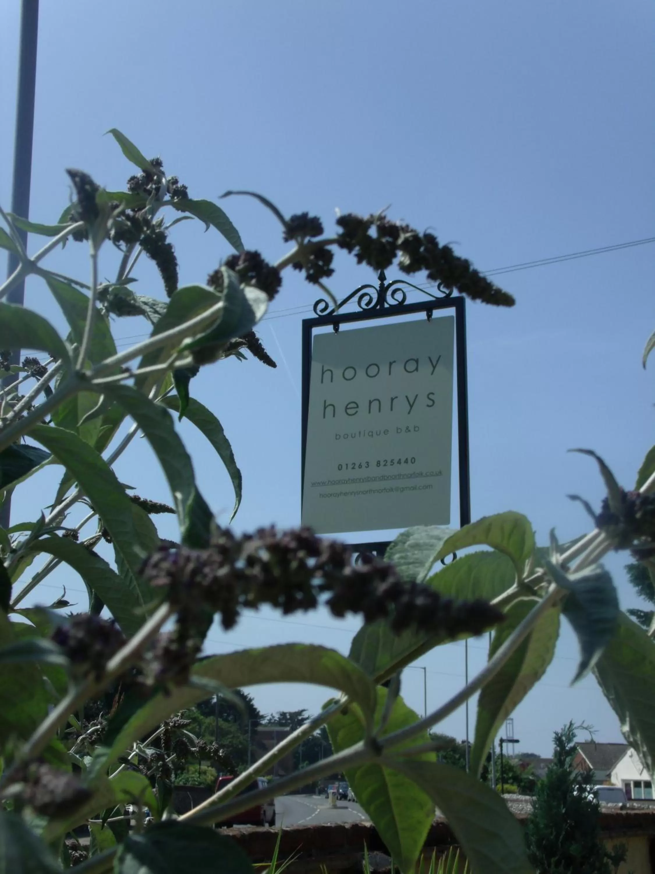 Decorative detail in Hooray Henrys