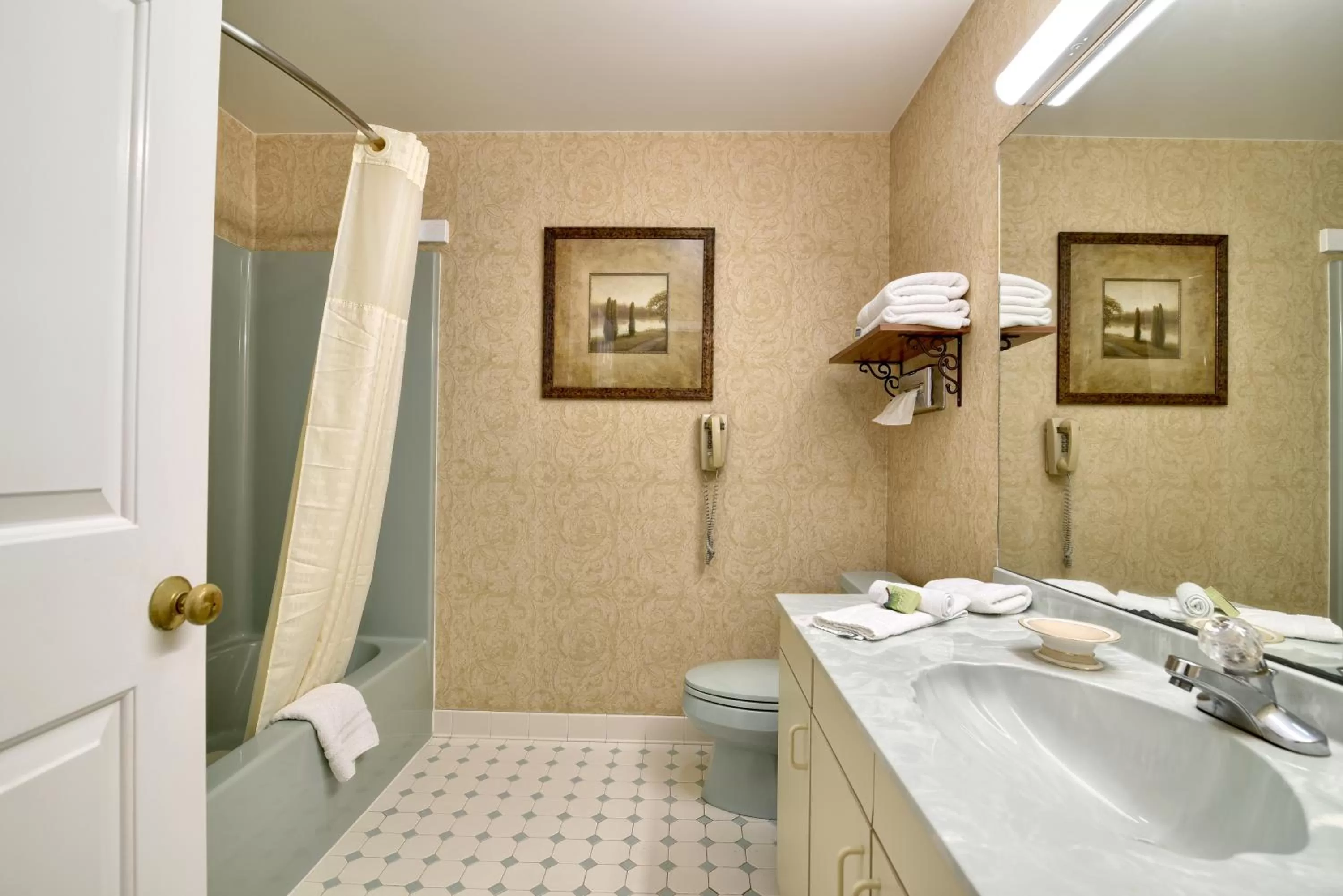 Bathroom in Roosevelt Inn & Suites Saratoga Springs