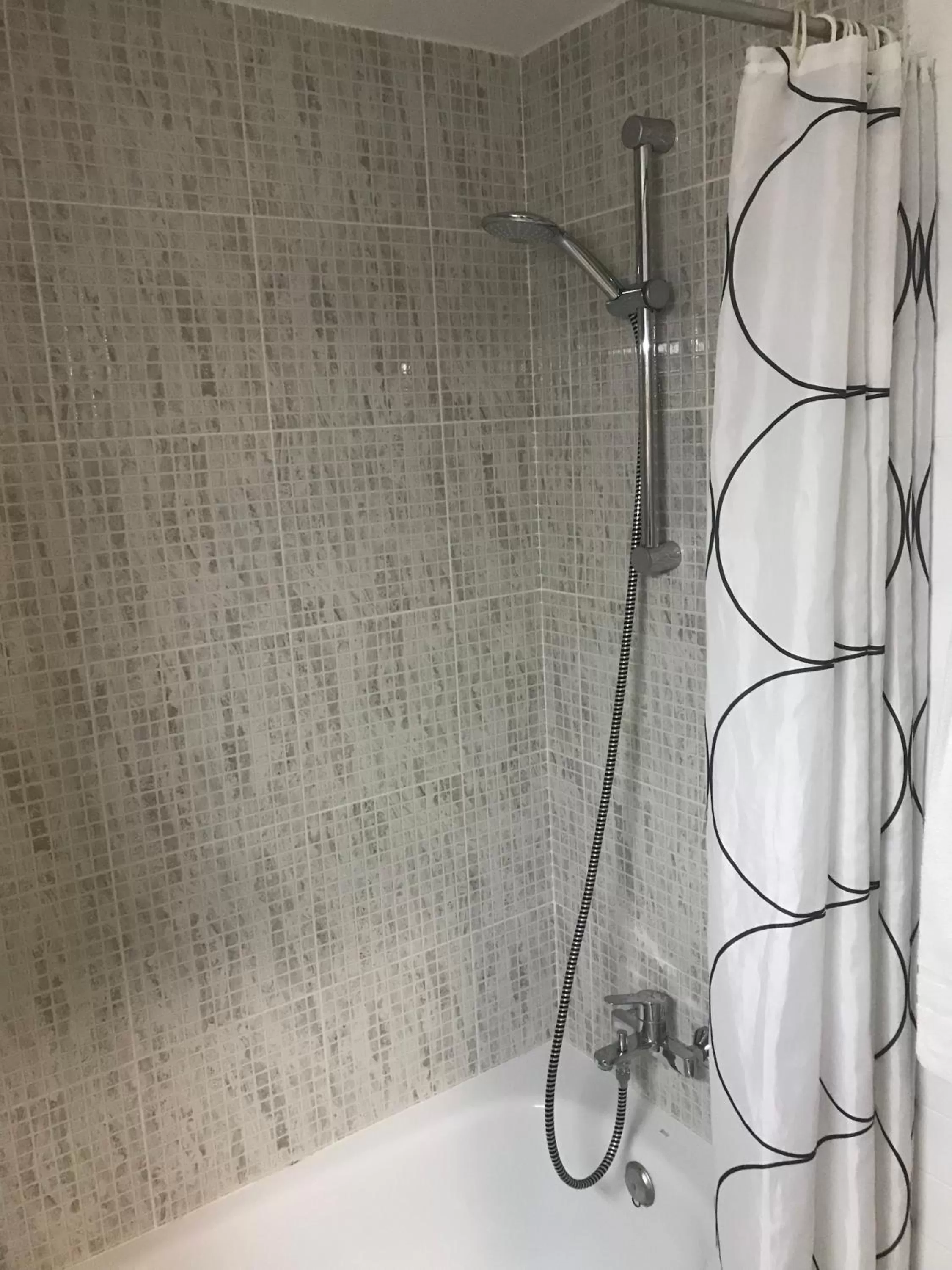 Bathroom in Hotel Pelayo