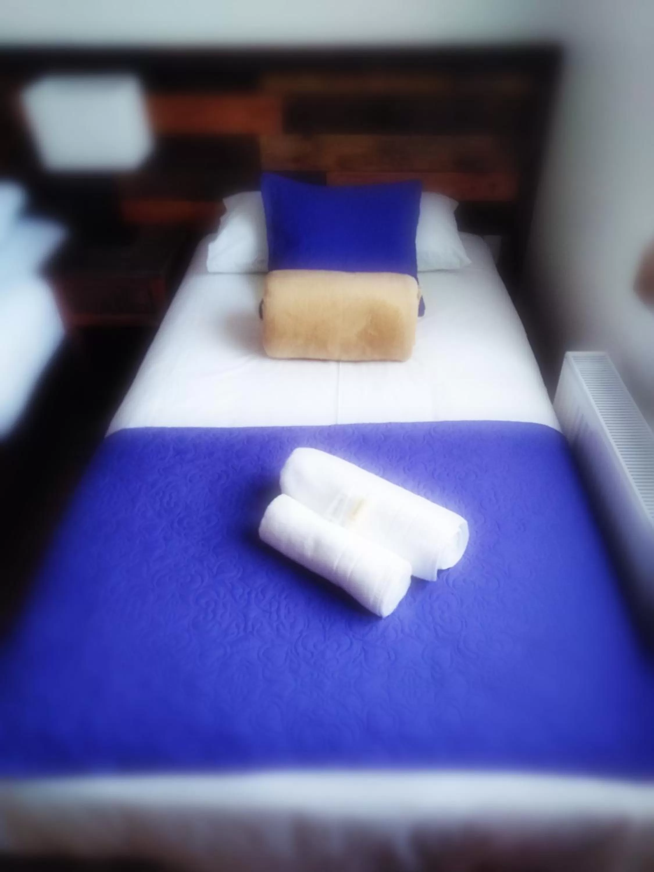 Bed in Hostal Buenavista Patagonia