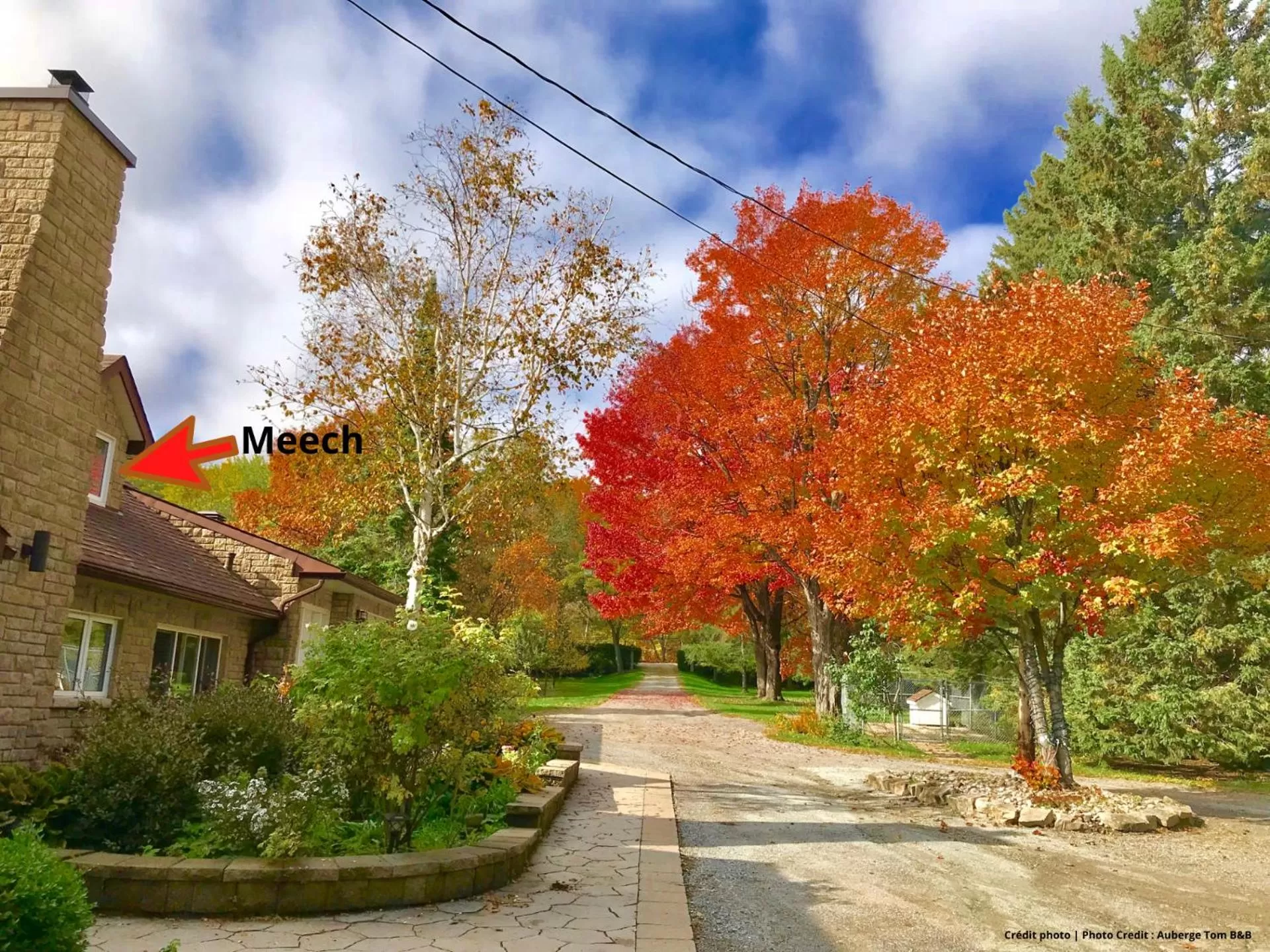 Garden view, Property Building in Auberge Tom B&B