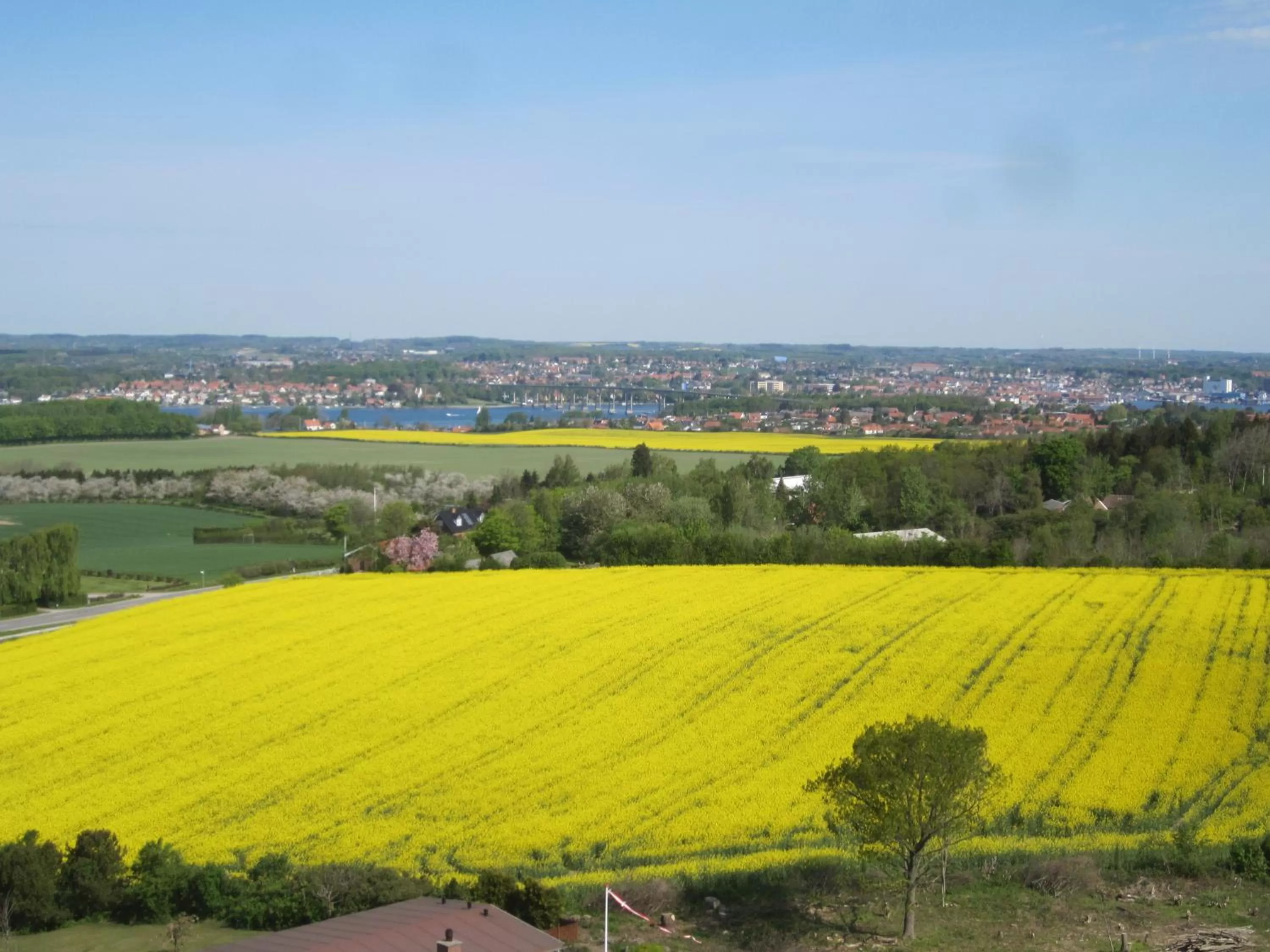 Off site in Tåsinge B&B