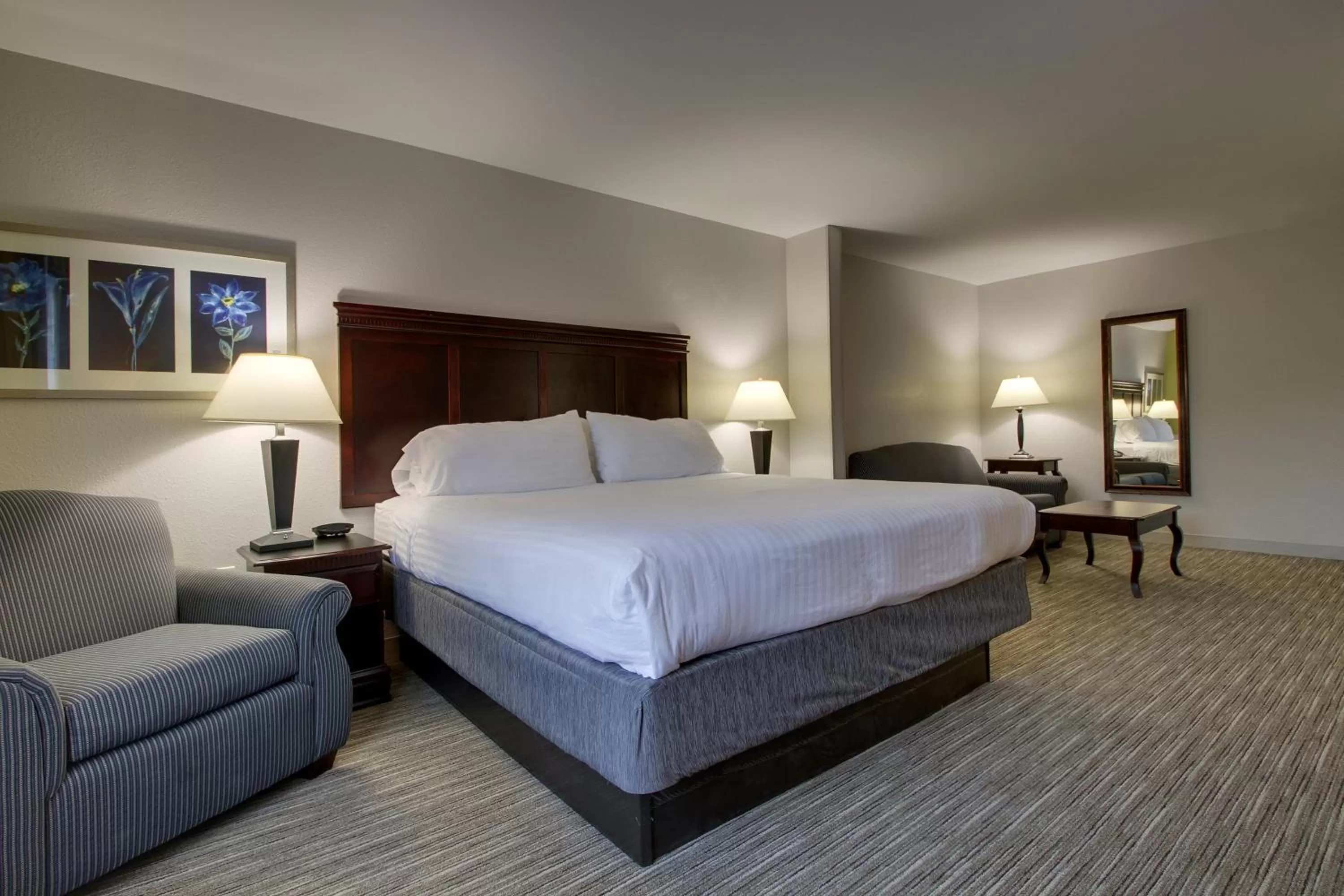 Bedroom, Bed in Holiday Inn Express Hotel & Suites Middleboro Raynham by IHG