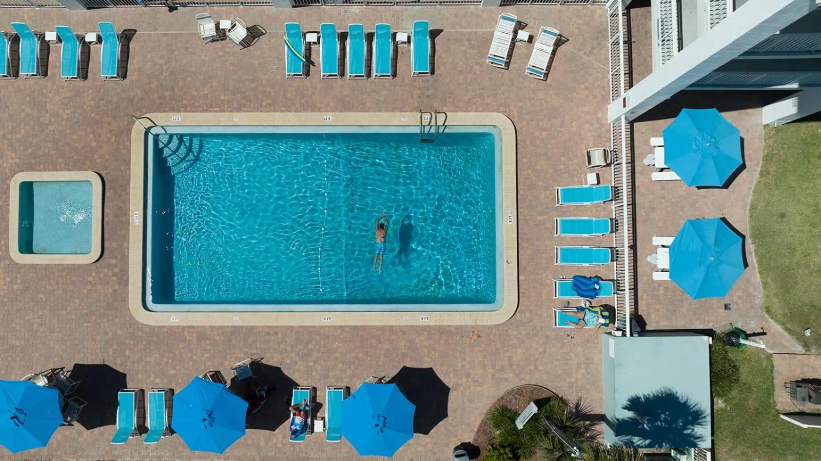 Bird's eye view in Coastal Waters