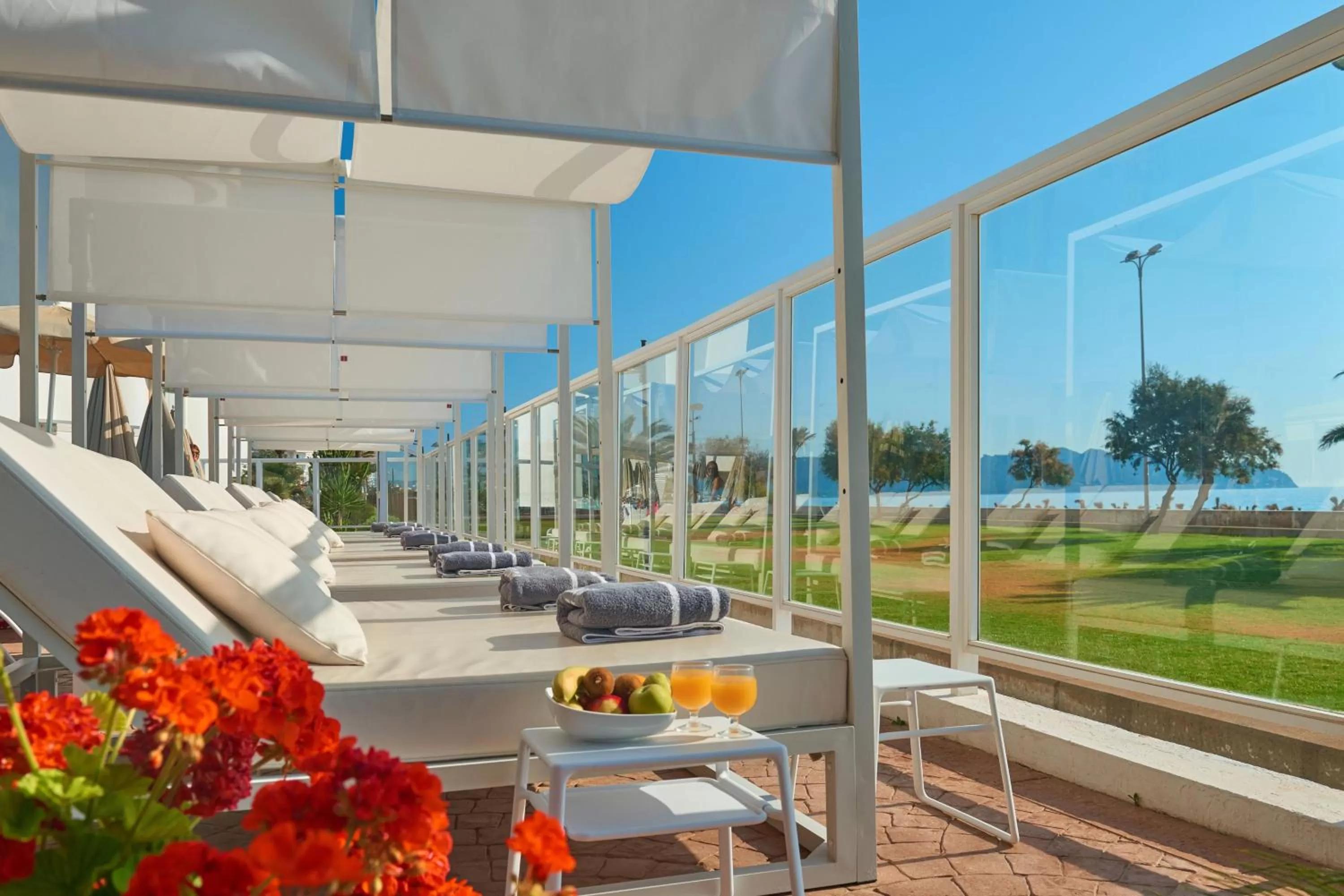 Garden in Hipotels Hipocampo Playa