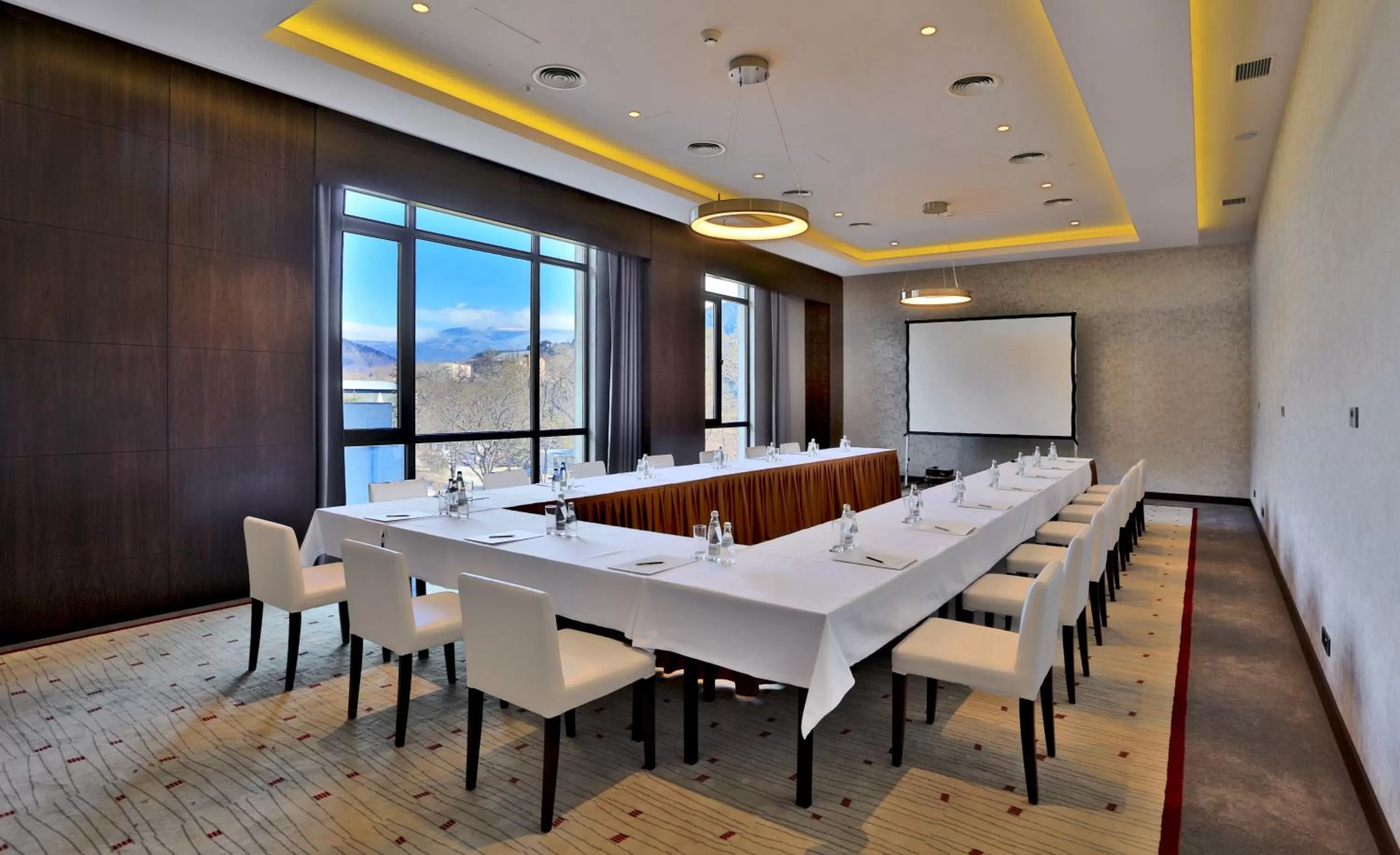 Business facilities in Borjomi Likani Health & Spa Centre