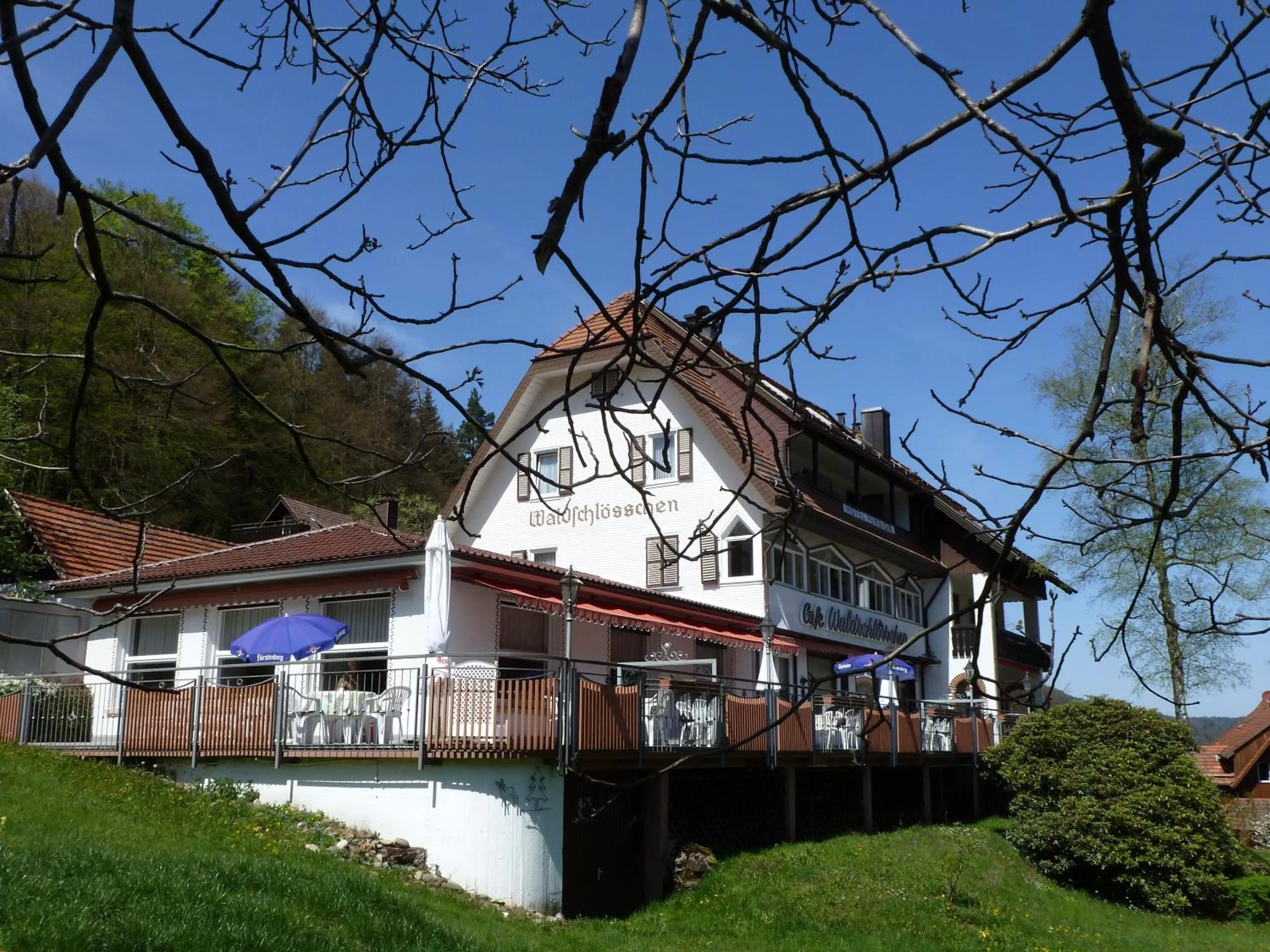 Facade/entrance in Waldschlösschen