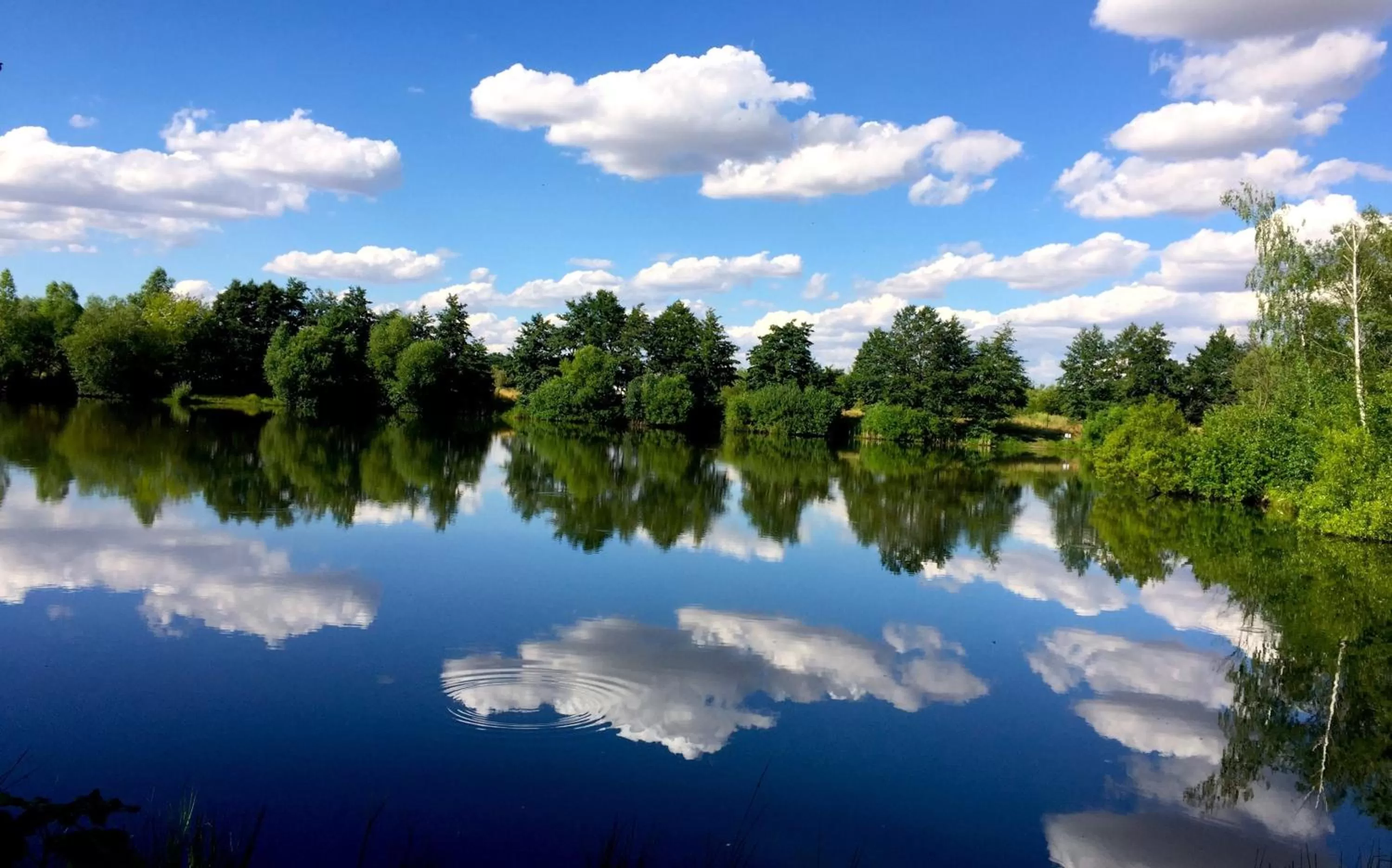 Natural landscape in Berghotel Tambach