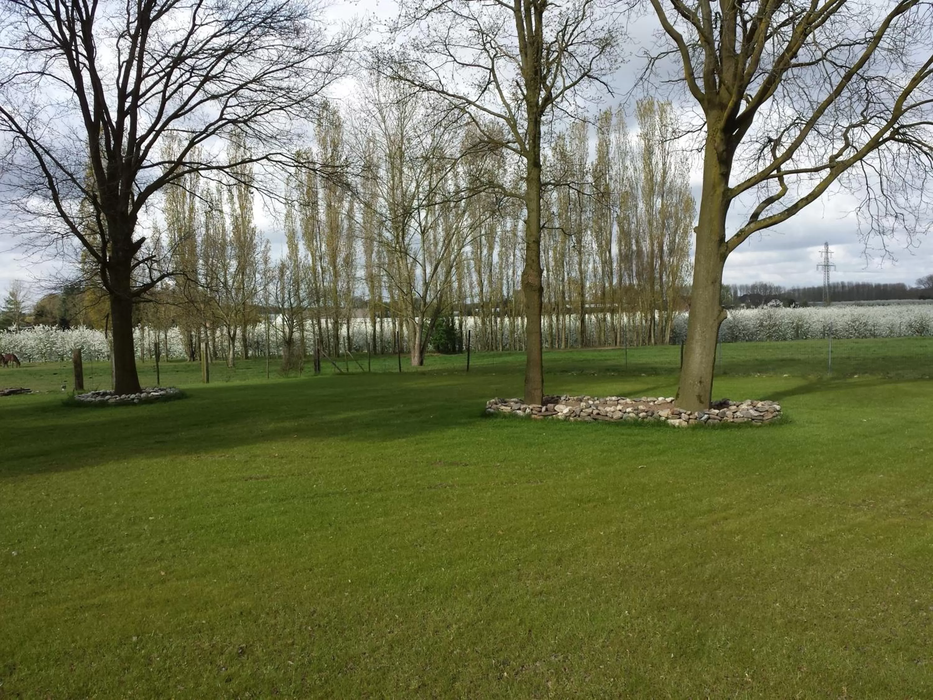 Spring in B&B Johannes-Hoeve