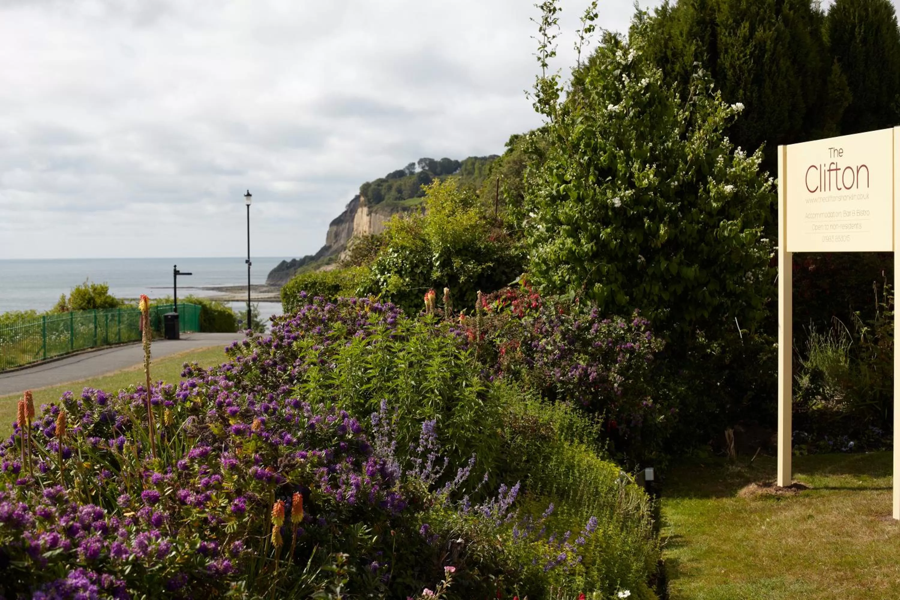 Garden in The Clifton