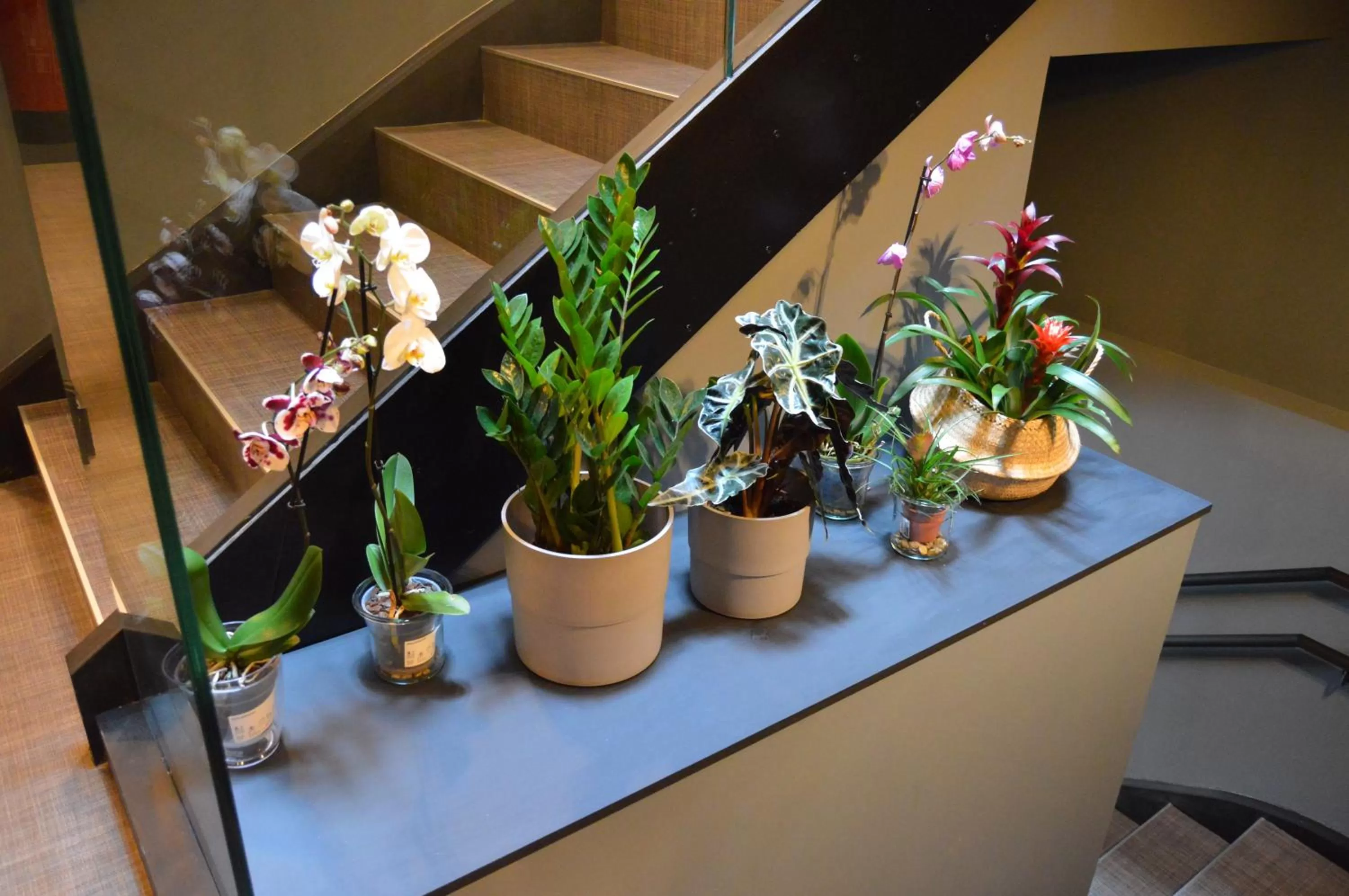 Area and facilities in M&UGA Hotela