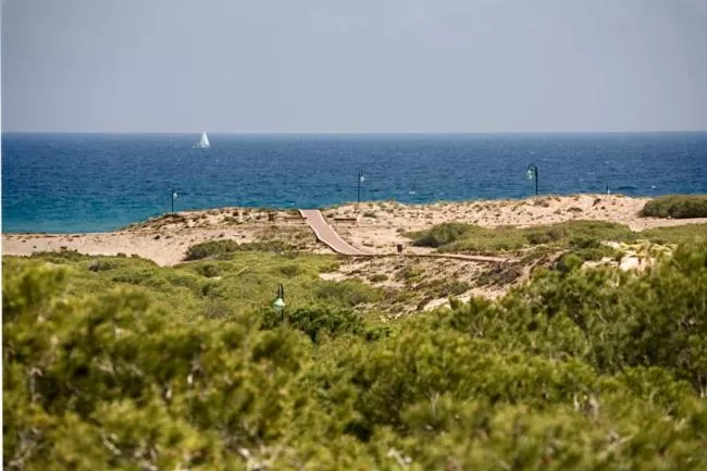 Natural landscape in Lloyds Beach Club