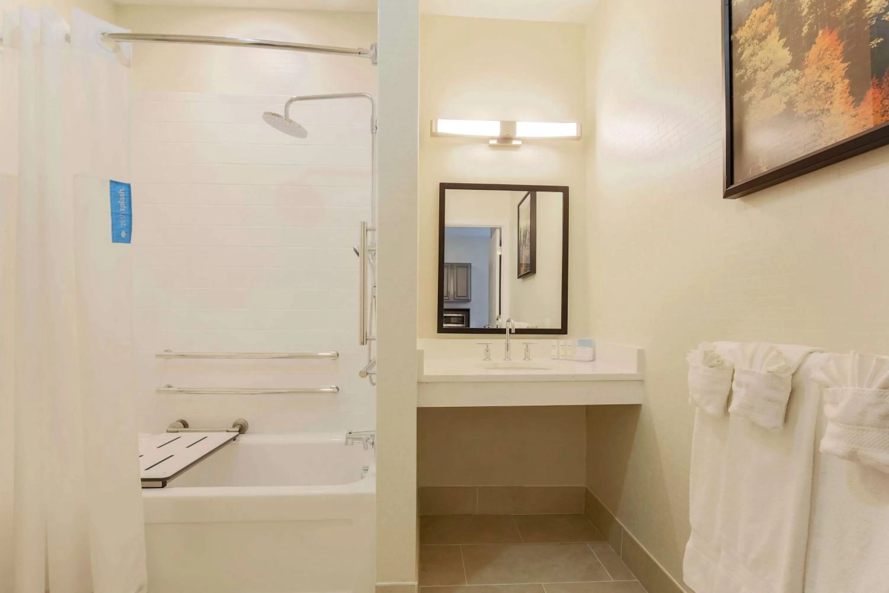 Bathroom in Hampton Inn & Suites Denver Tech Center