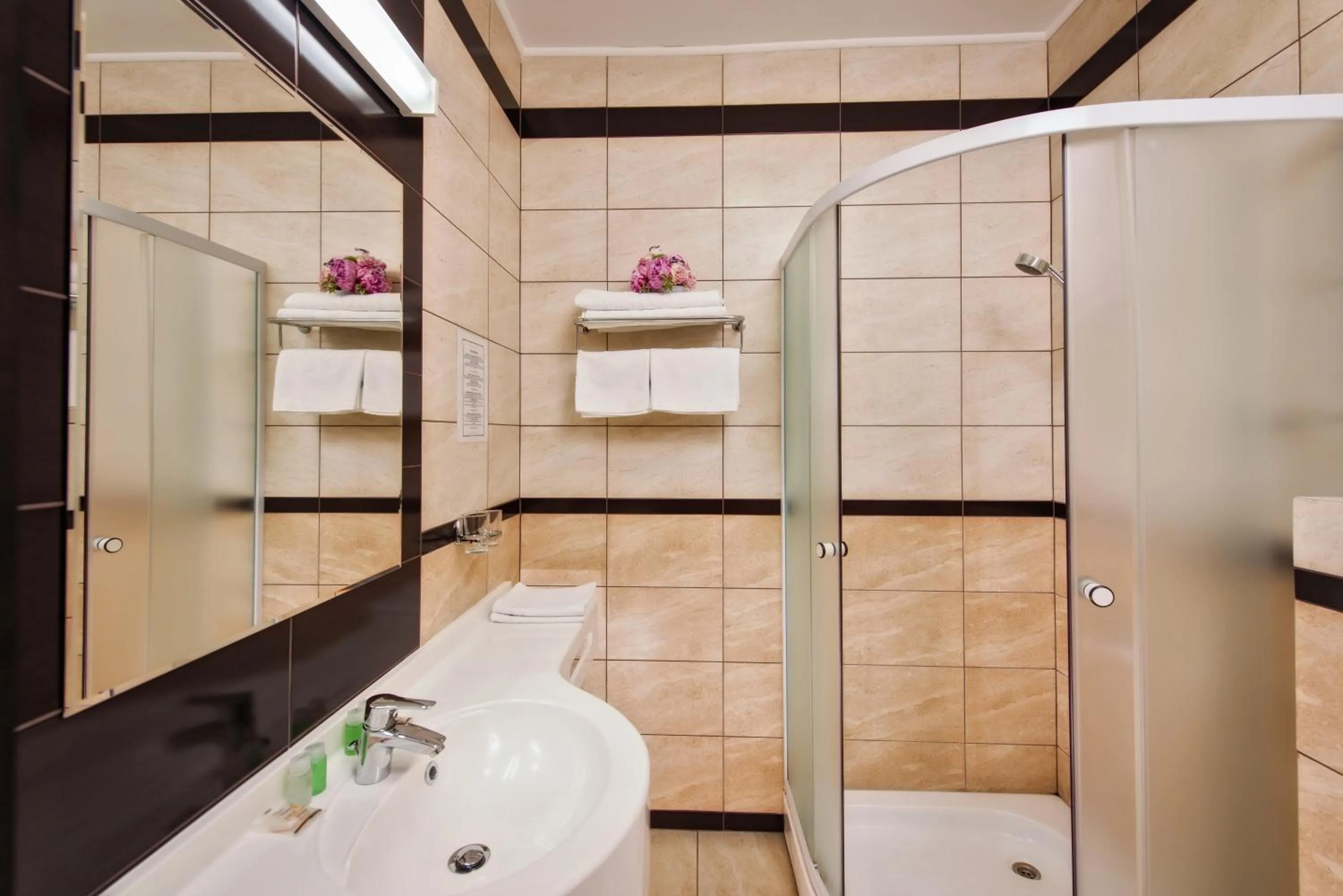 Bathroom in Hotel Ozana