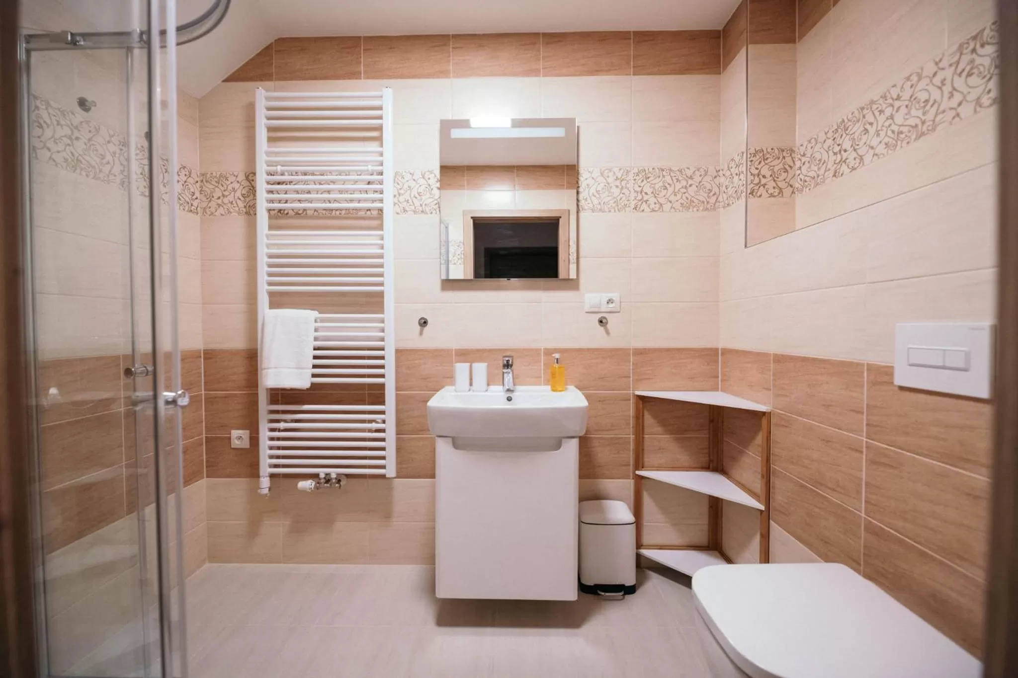 Toilet in Vila Jáchymov