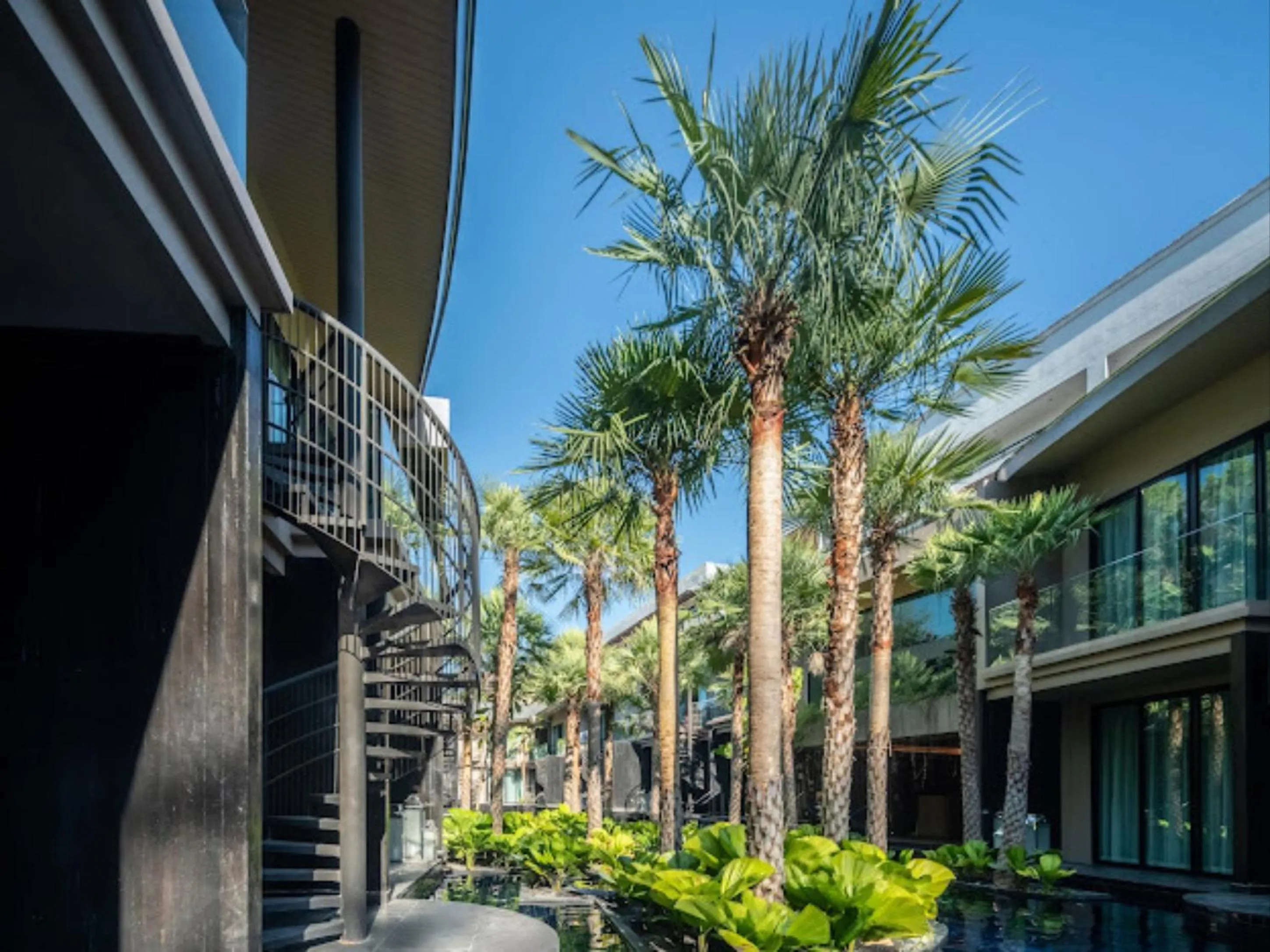 View (from property/room) in Areca Resort and Spa