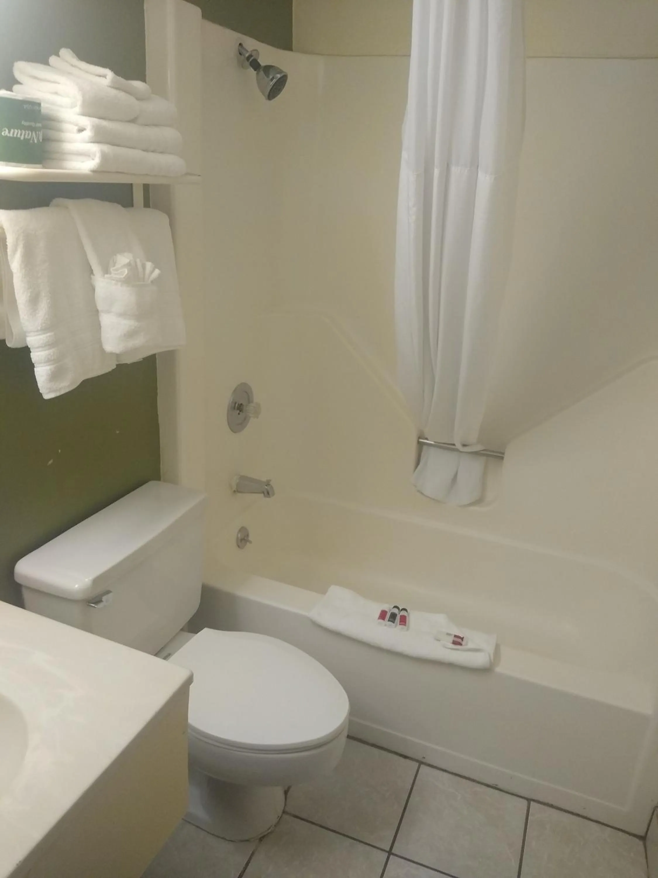 Bathroom in Super 8 by Wyndham Craig