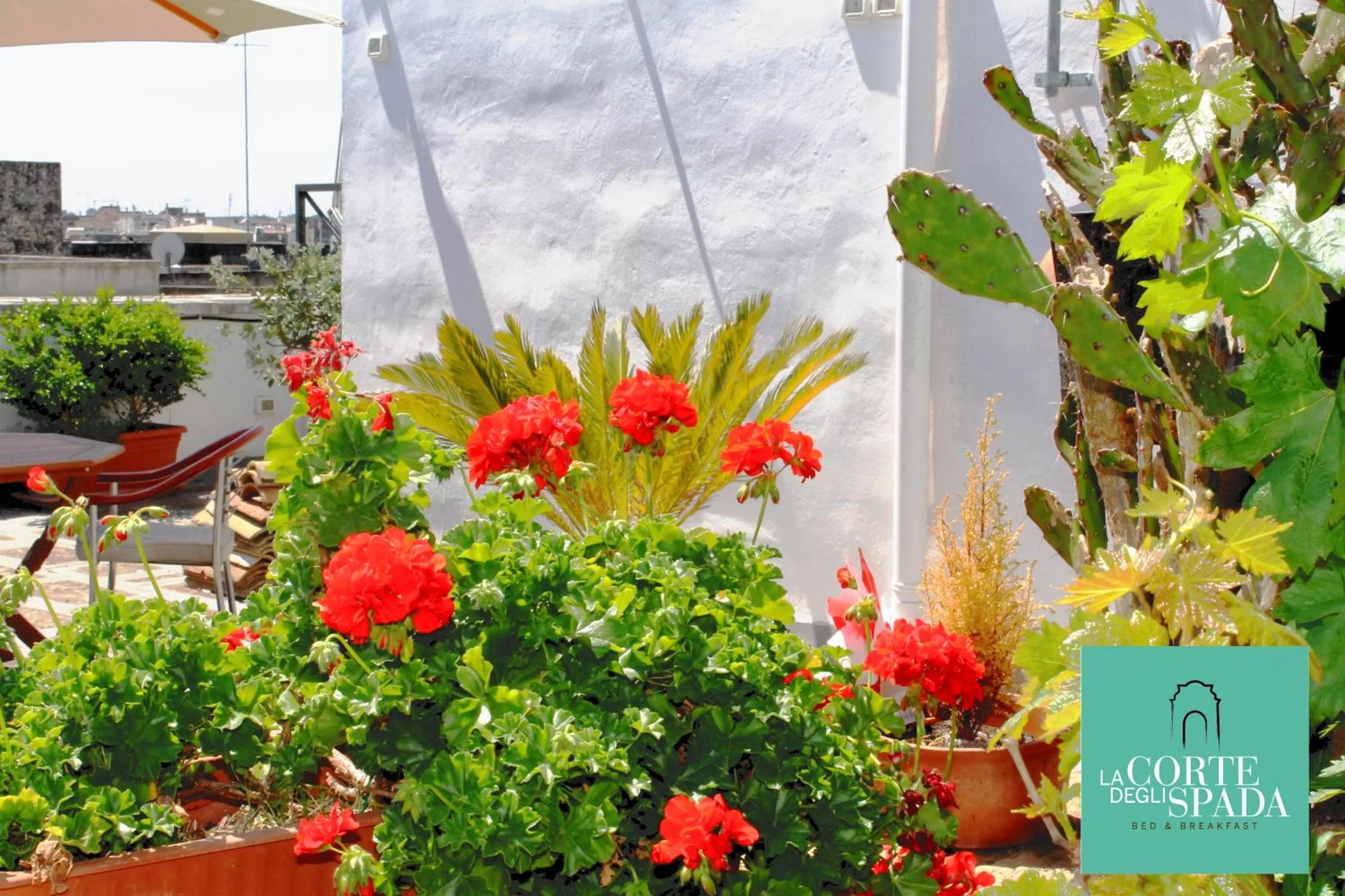 View (from property/room) in La Corte degli Spada - Borgo Antico del Salento