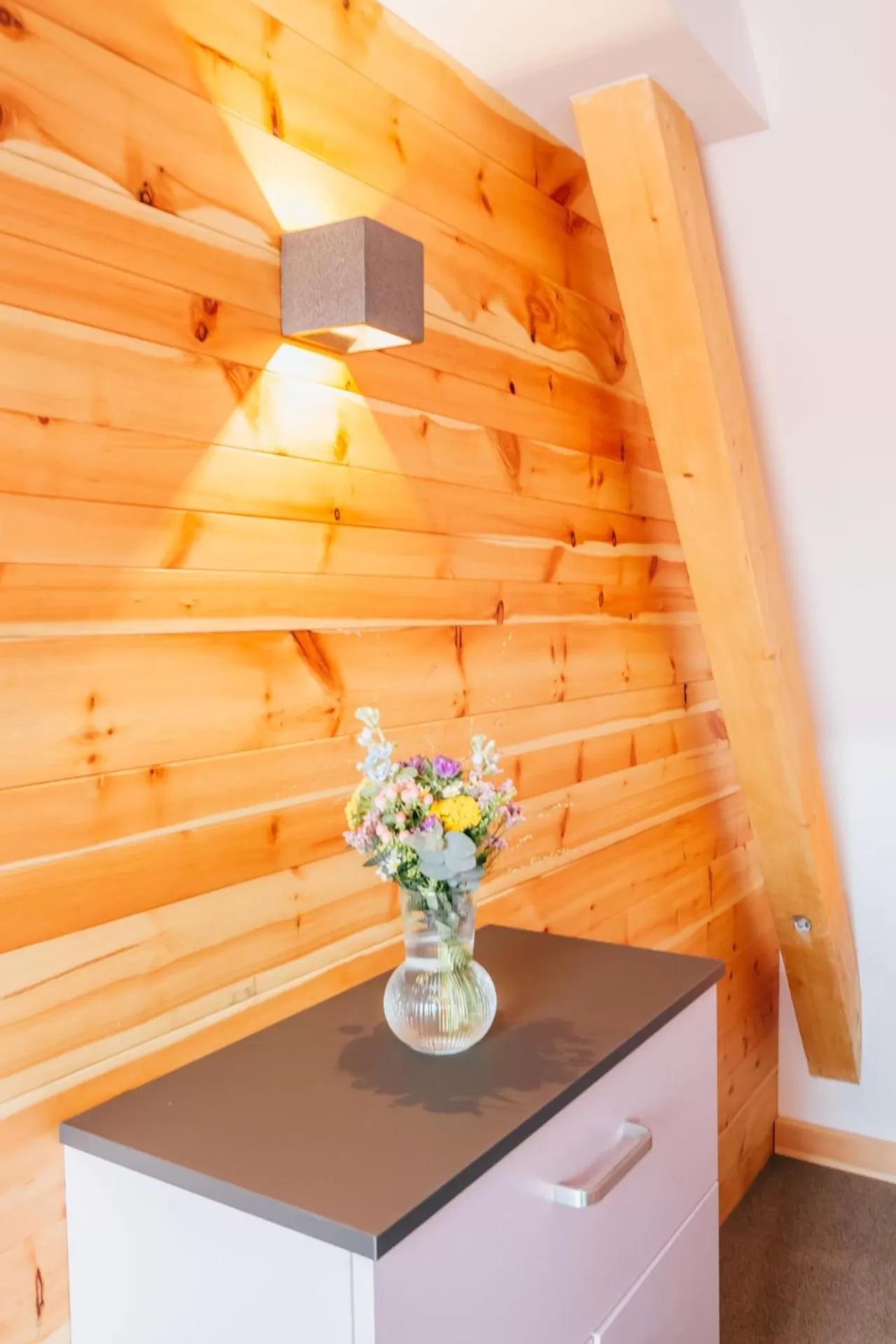 Photo of the whole room in Hotel Andres